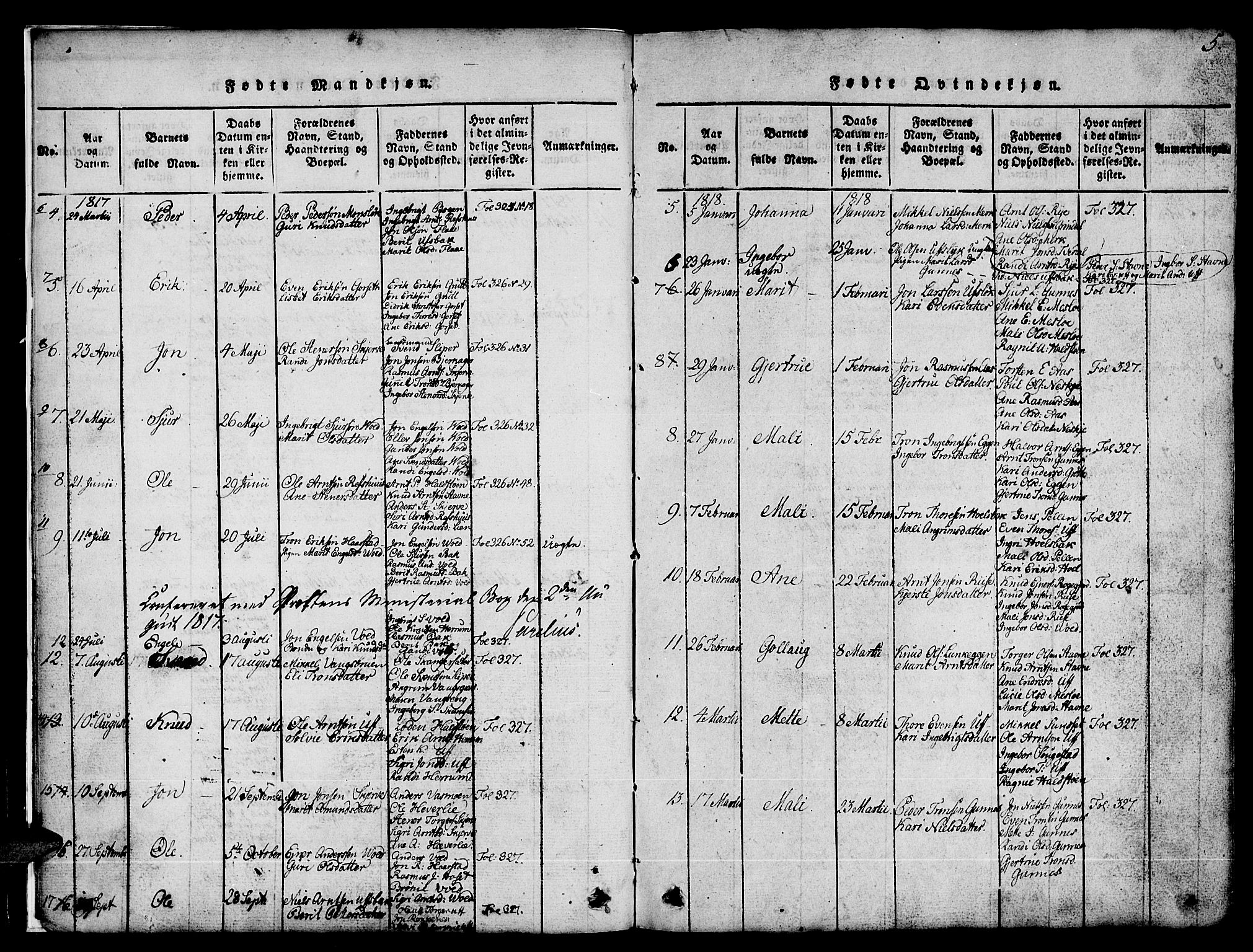 Ministerialprotokoller, klokkerbøker og fødselsregistre - Sør-Trøndelag, AV/SAT-A-1456/674/L0874: Parish register (copy) no. 674C01, 1816-1860, p. 5