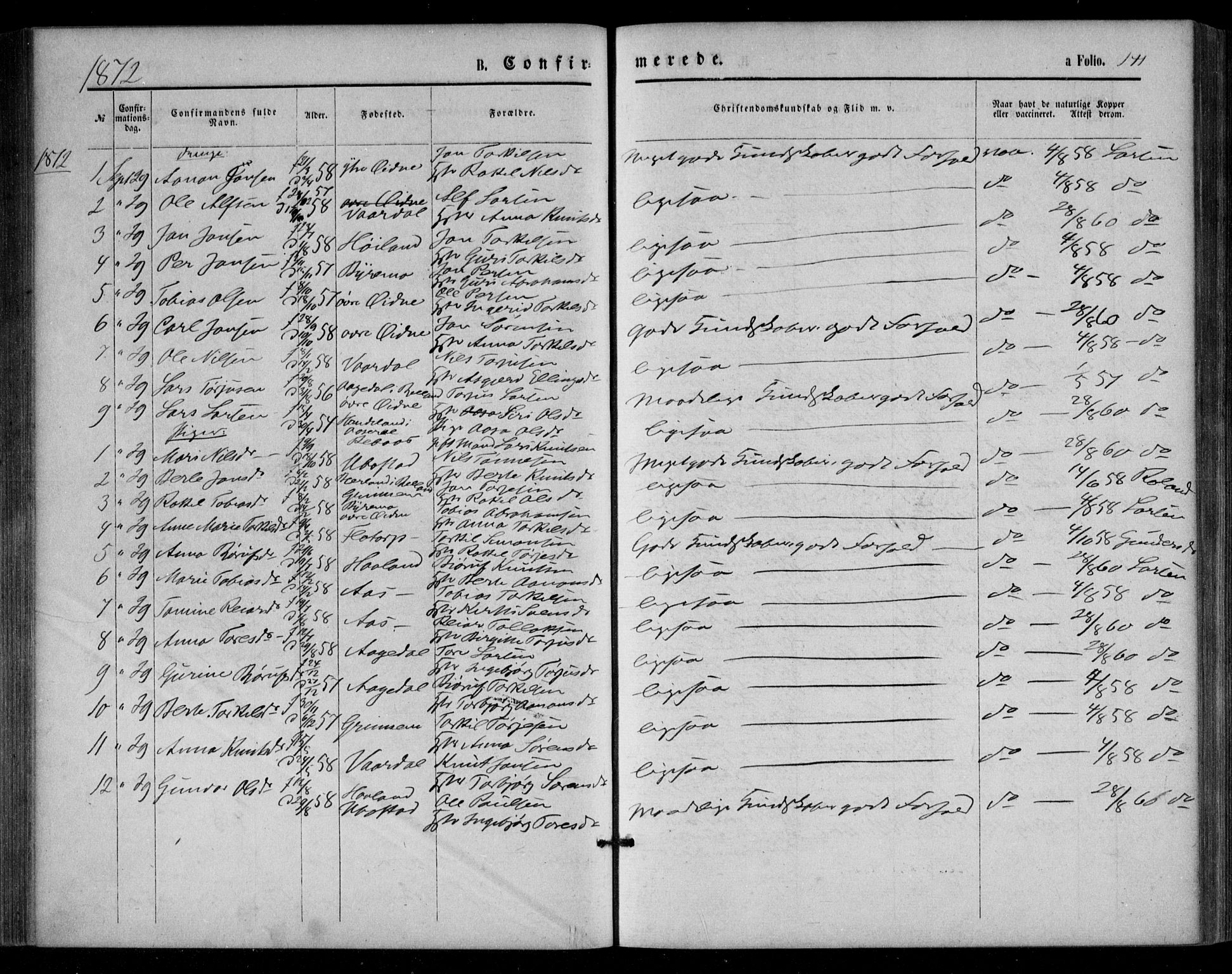 Bjelland sokneprestkontor, SAK/1111-0005/F/Fa/Fac/L0002: Parish register (official) no. A 2, 1866-1887, p. 141