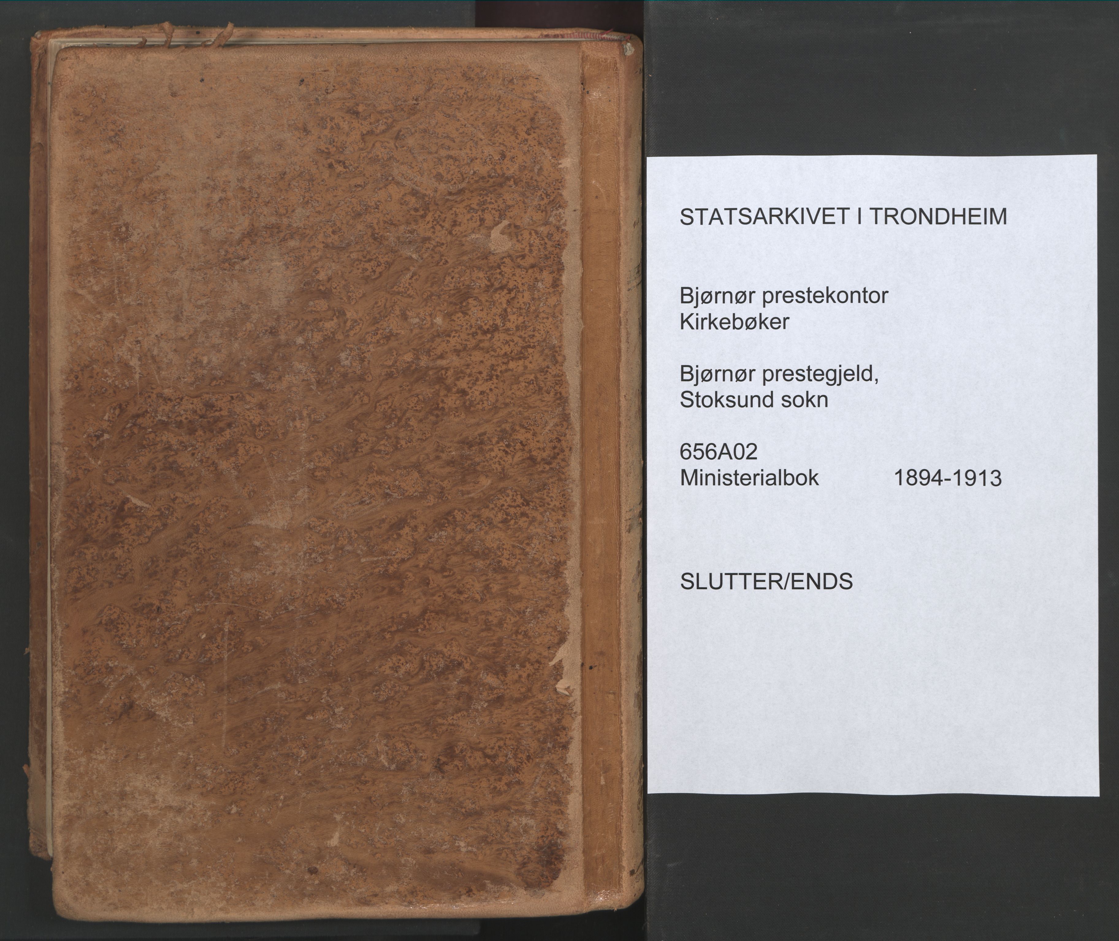 Ministerialprotokoller, klokkerbøker og fødselsregistre - Sør-Trøndelag, AV/SAT-A-1456/656/L0693: Parish register (official) no. 656A02, 1894-1913, p. 276