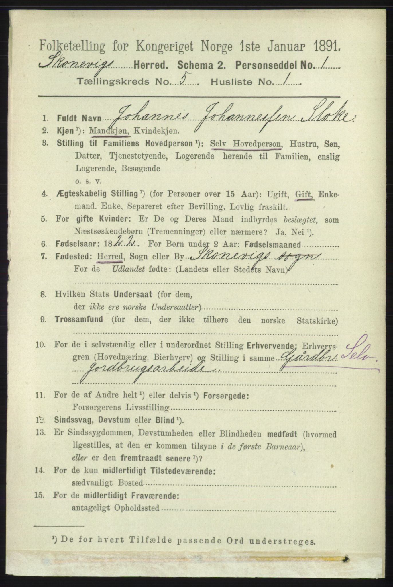 RA, 1891 census for 1212 Skånevik, 1891, p. 1261