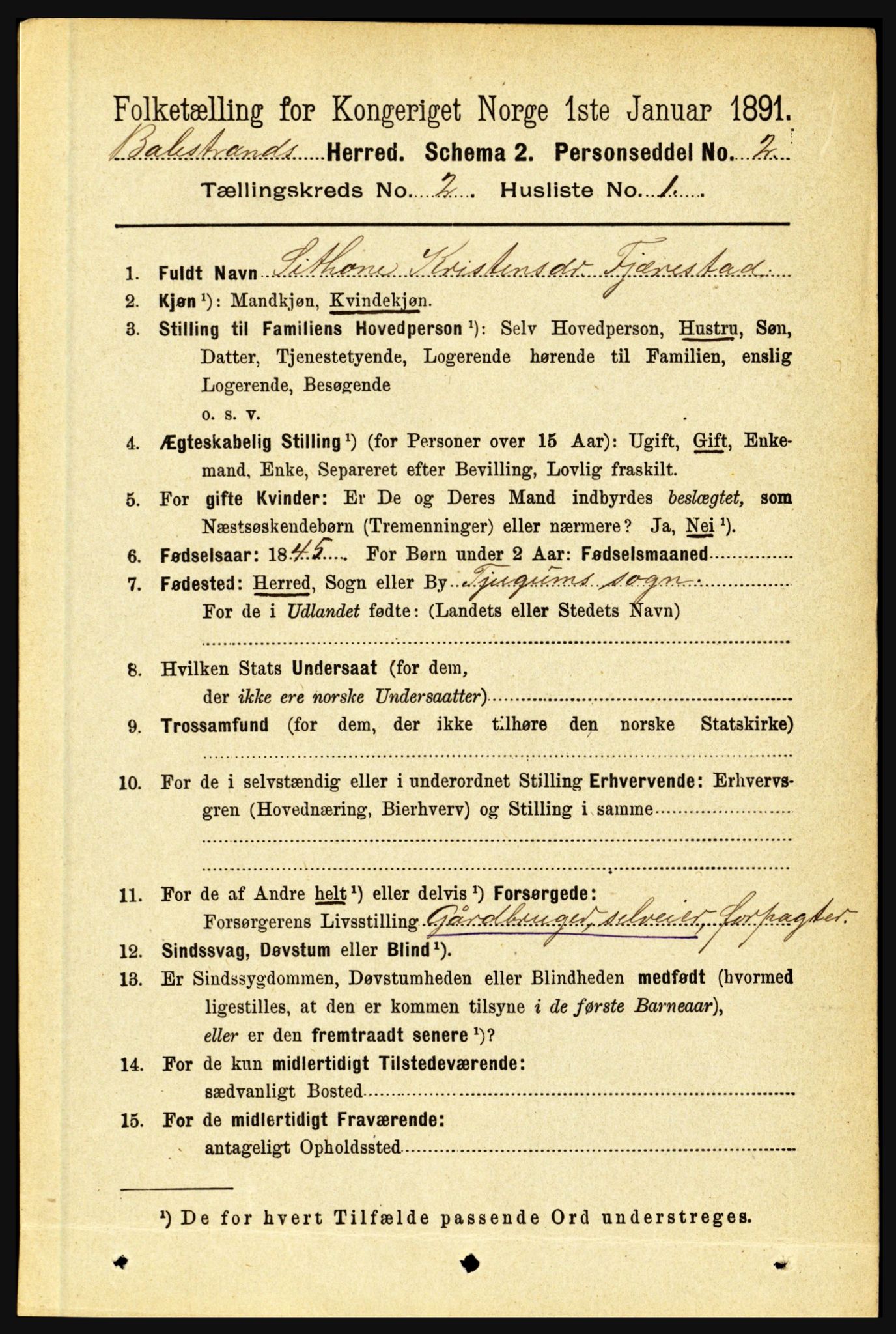 RA, 1891 census for 1418 Balestrand, 1891, p. 277