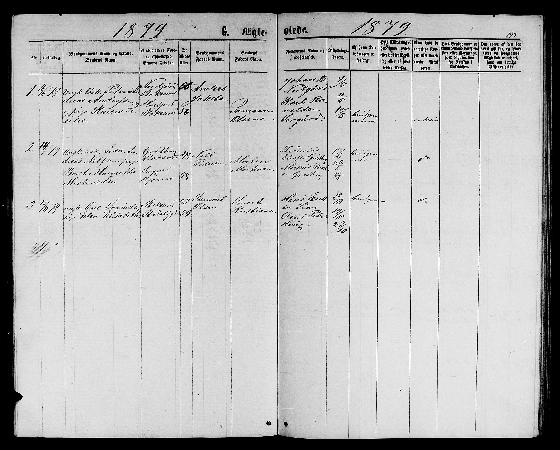 Ministerialprotokoller, klokkerbøker og fødselsregistre - Sør-Trøndelag, SAT/A-1456/656/L0695: Parish register (copy) no. 656C01, 1867-1889, p. 193