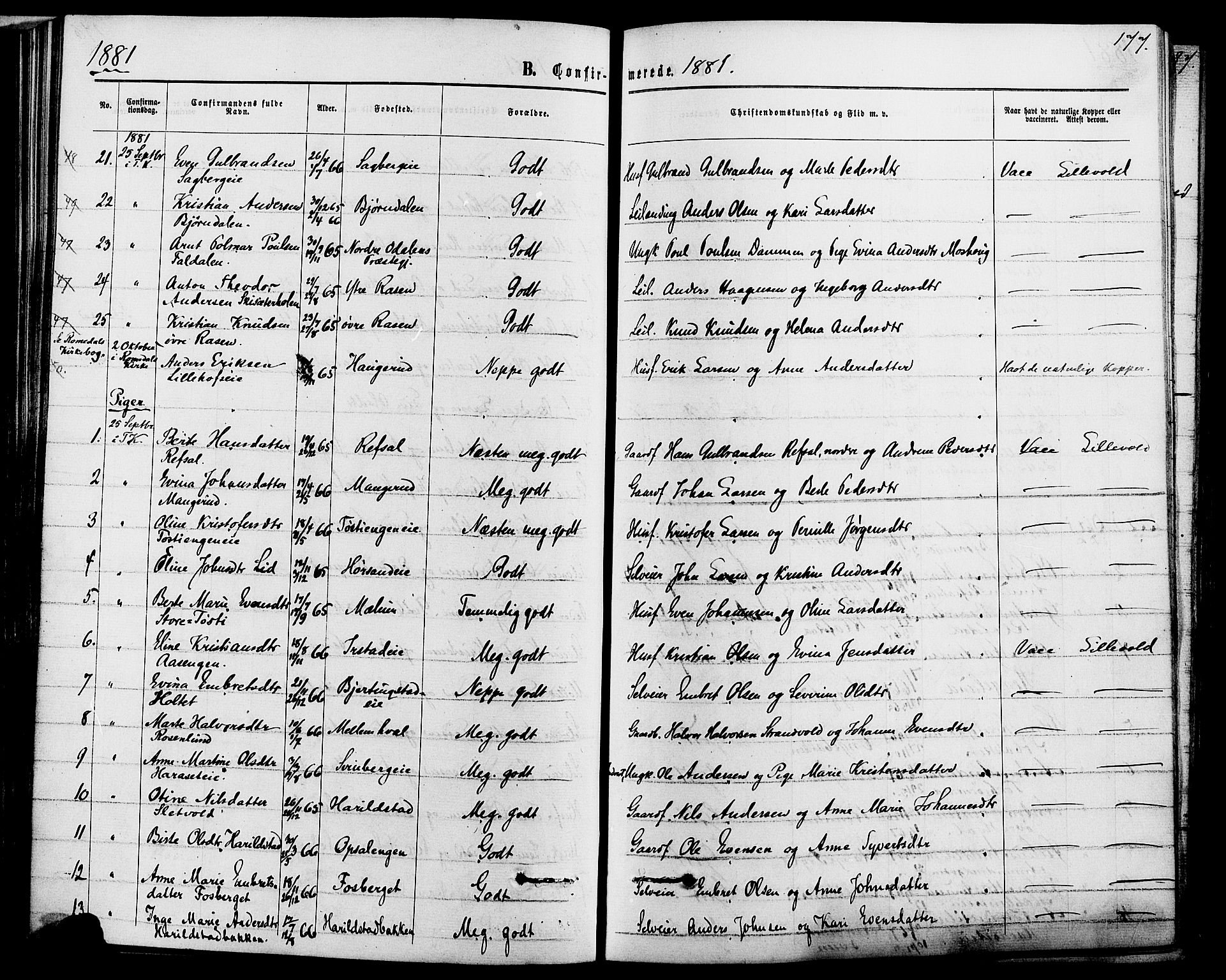 Romedal prestekontor, SAH/PREST-004/K/L0006: Parish register (official) no. 6, 1866-1886, p. 177