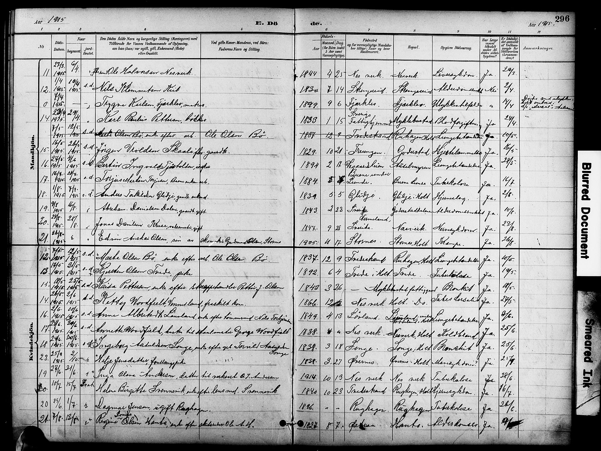 Holt sokneprestkontor, SAK/1111-0021/F/Fb/L0011: Parish register (copy) no. B 11, 1897-1921, p. 296