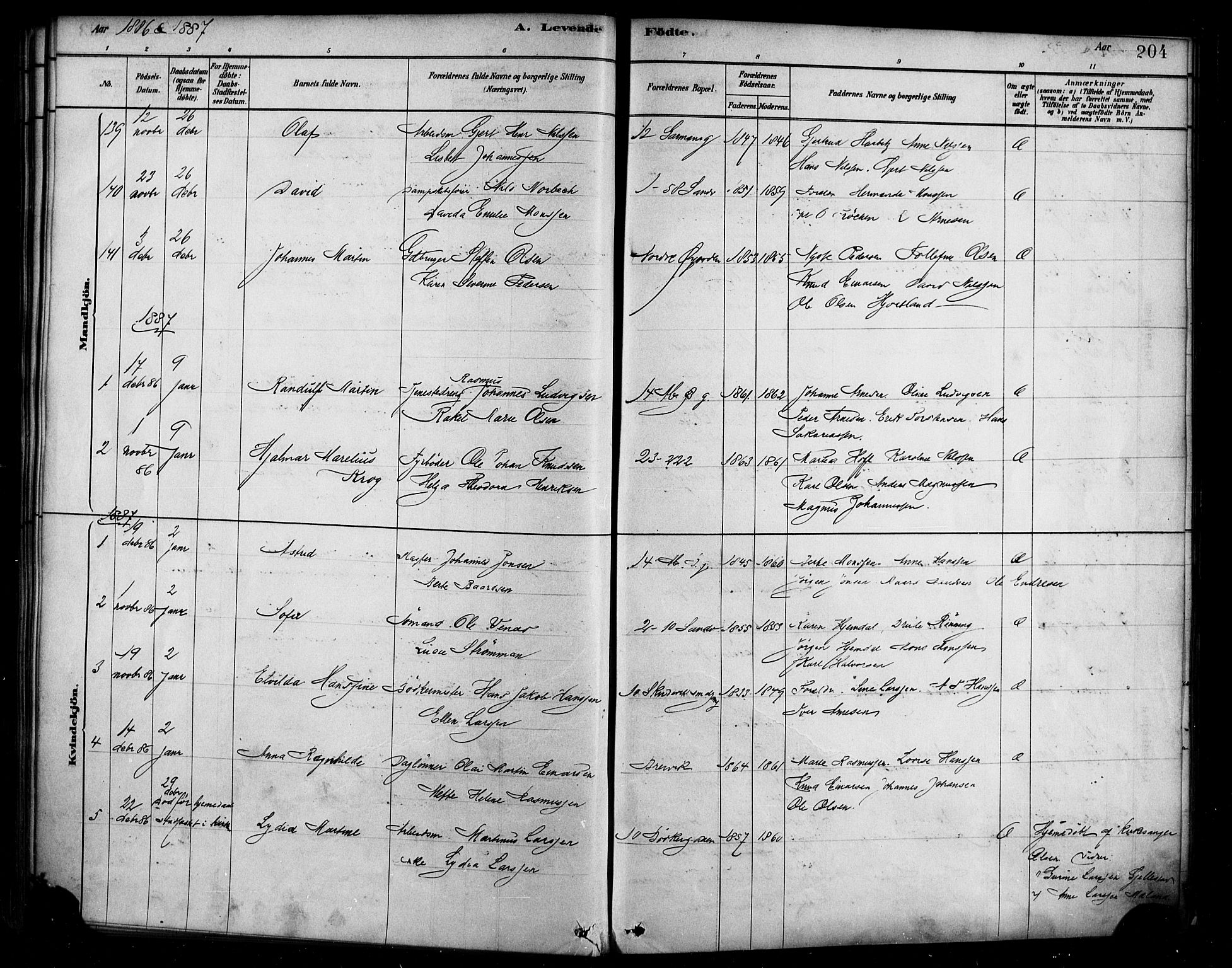 Sandviken Sokneprestembete, AV/SAB-A-77601/H/Ha/L0004: Parish register (official) no. B 1, 1878-1891, p. 204