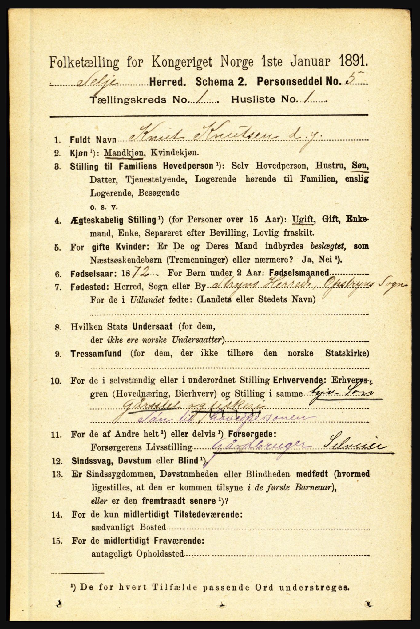 RA, 1891 census for 1441 Selje, 1891, p. 99