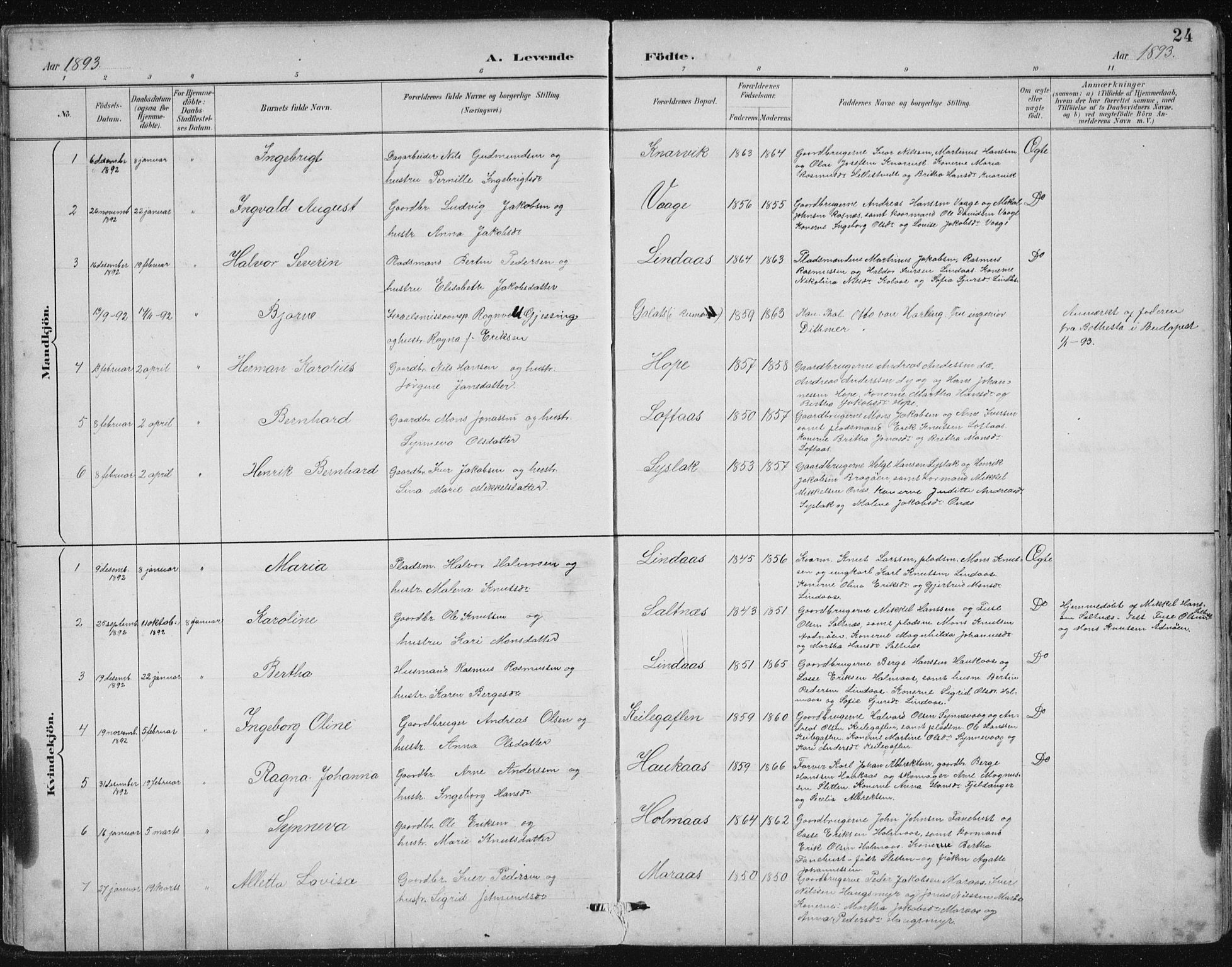 Lindås Sokneprestembete, SAB/A-76701/H/Hab: Parish register (copy) no. B 3, 1886-1914, p. 24