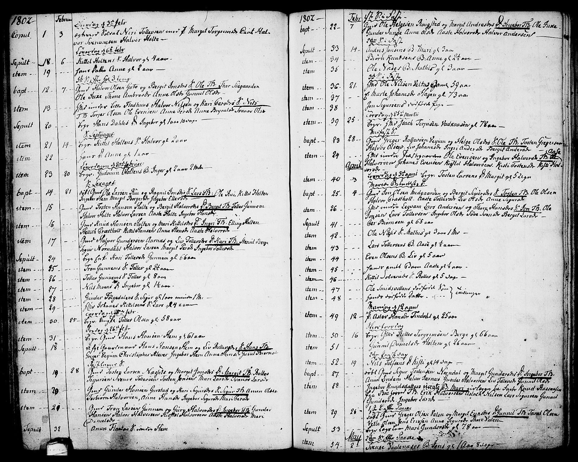 Sauherad kirkebøker, AV/SAKO-A-298/F/Fa/L0004: Parish register (official) no. I 4, 1767-1814