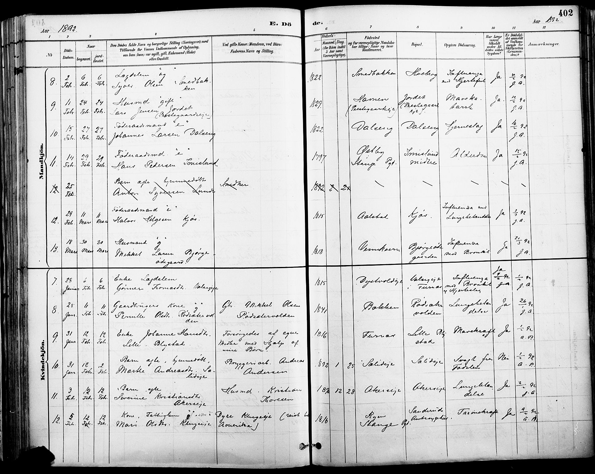 Vang prestekontor, Hedmark, SAH/PREST-008/H/Ha/Haa/L0019A: Parish register (official) no. 19, 1886-1900, p. 402
