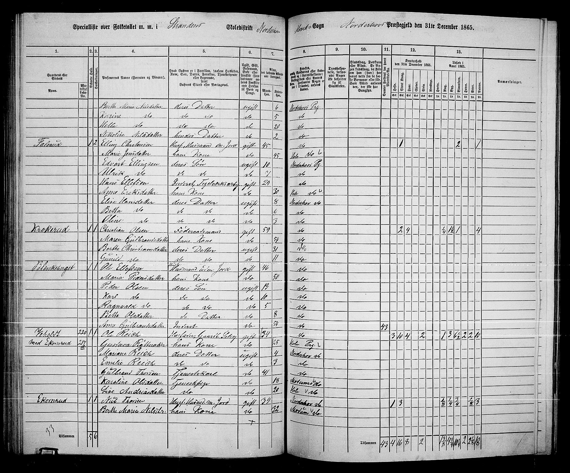 RA, 1865 census for Norderhov/Norderhov, Haug og Lunder, 1865, p. 155