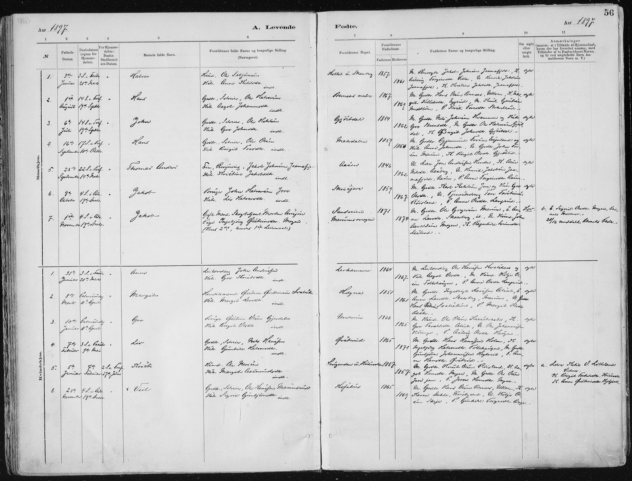 Tinn kirkebøker, SAKO/A-308/F/Fa/L0007: Parish register (official) no. I 7, 1878-1922, p. 56