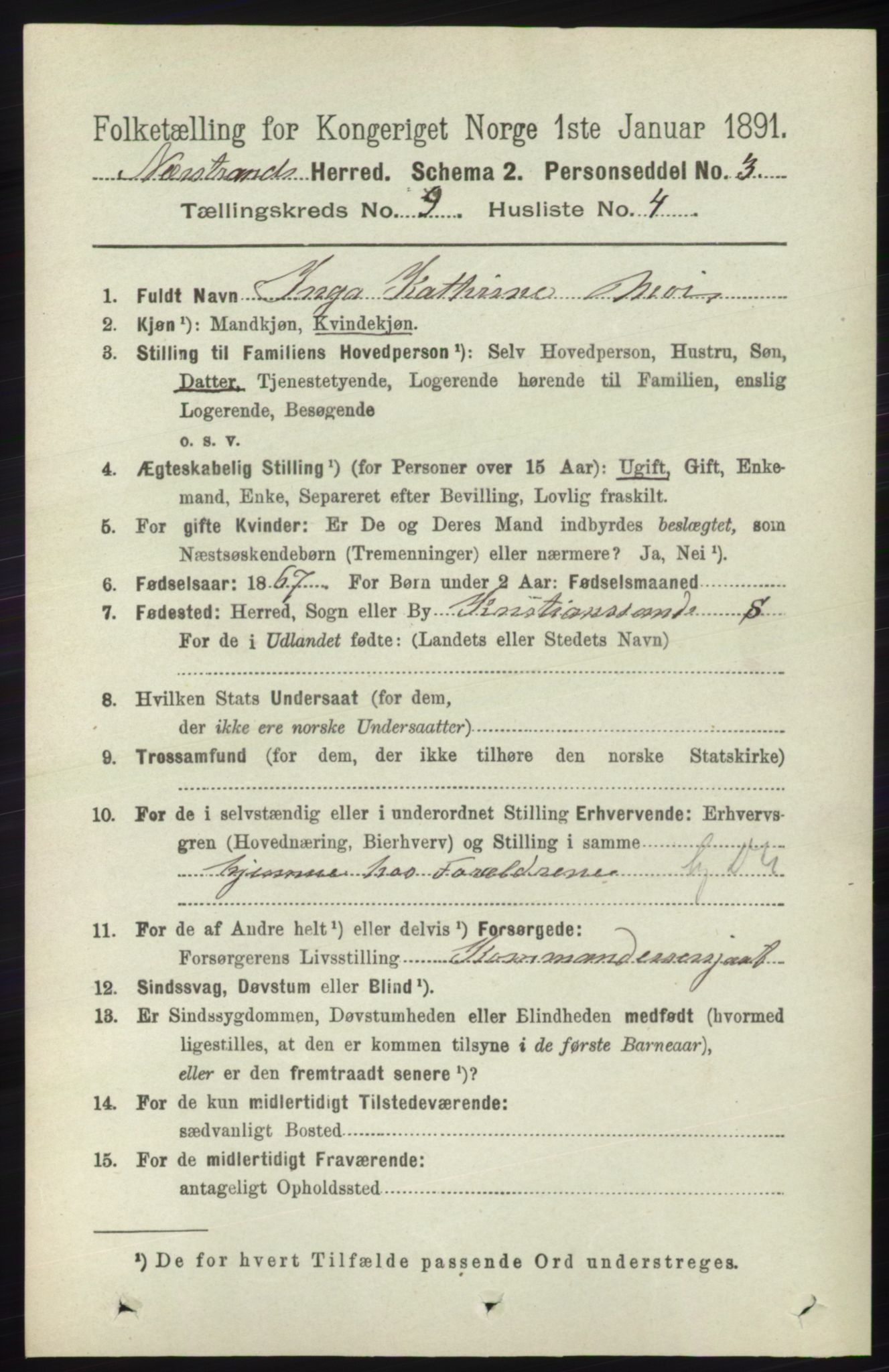 RA, 1891 census for 1139 Nedstrand, 1891, p. 1675