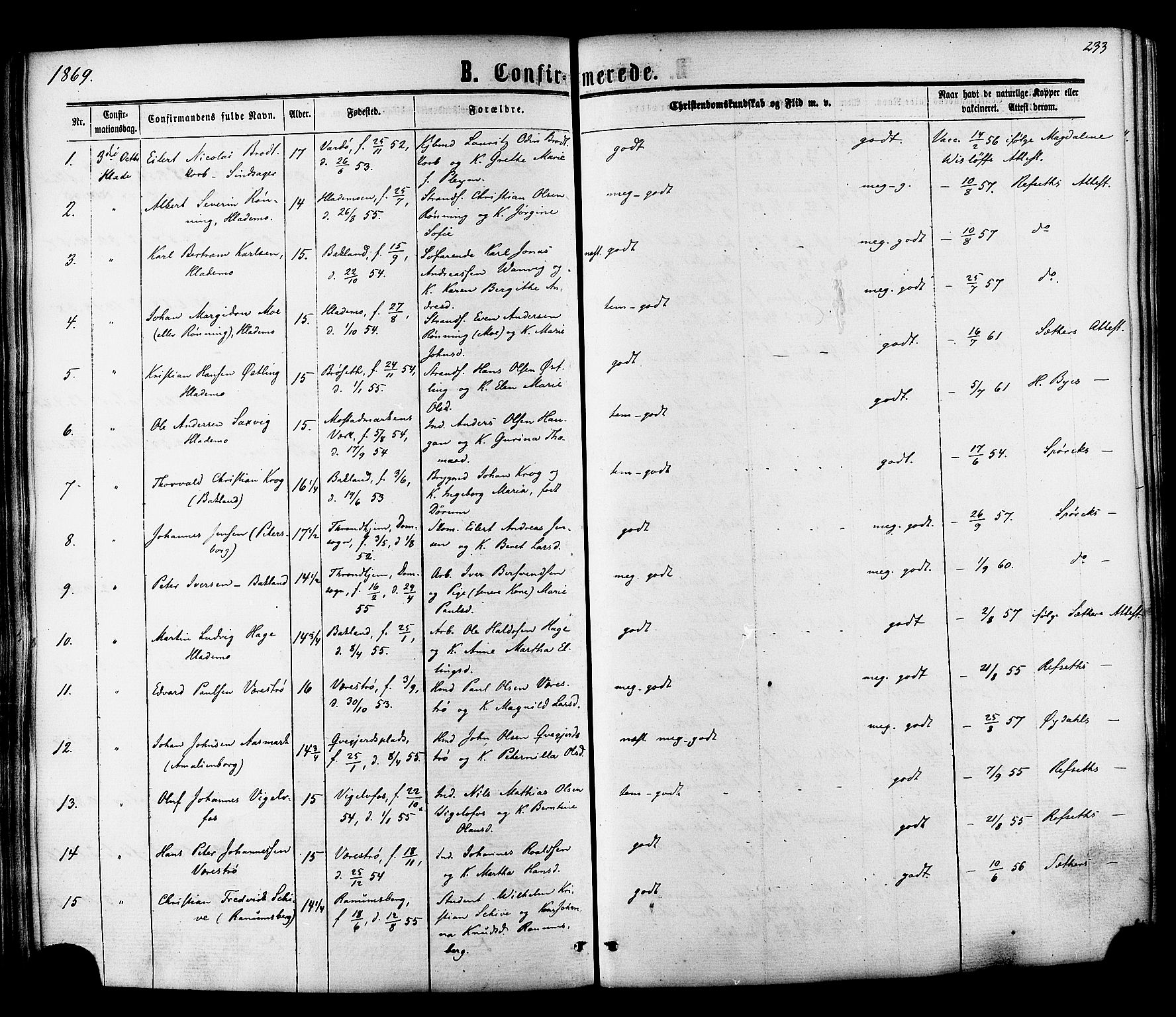 Ministerialprotokoller, klokkerbøker og fødselsregistre - Sør-Trøndelag, SAT/A-1456/606/L0293: Parish register (official) no. 606A08, 1866-1877, p. 233