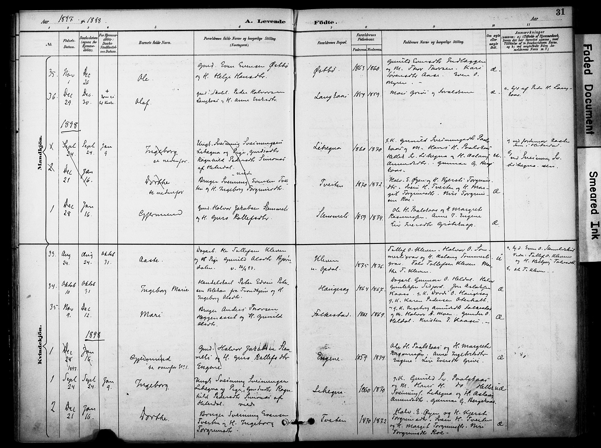 Bø kirkebøker, SAKO/A-257/F/Fa/L0011: Parish register (official) no. 11, 1892-1900, p. 31