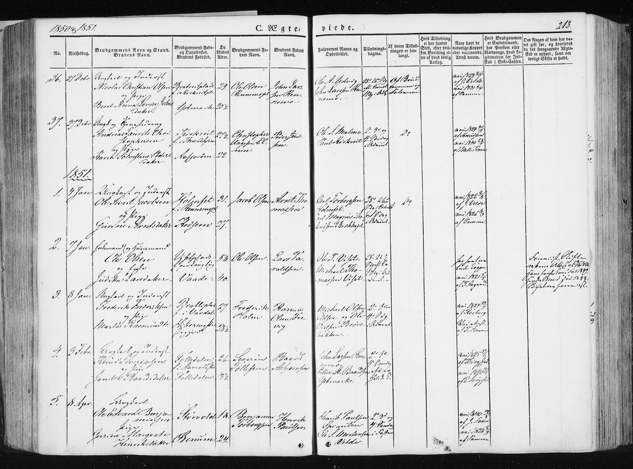 Ministerialprotokoller, klokkerbøker og fødselsregistre - Nord-Trøndelag, SAT/A-1458/741/L0393: Parish register (official) no. 741A07, 1849-1863, p. 213