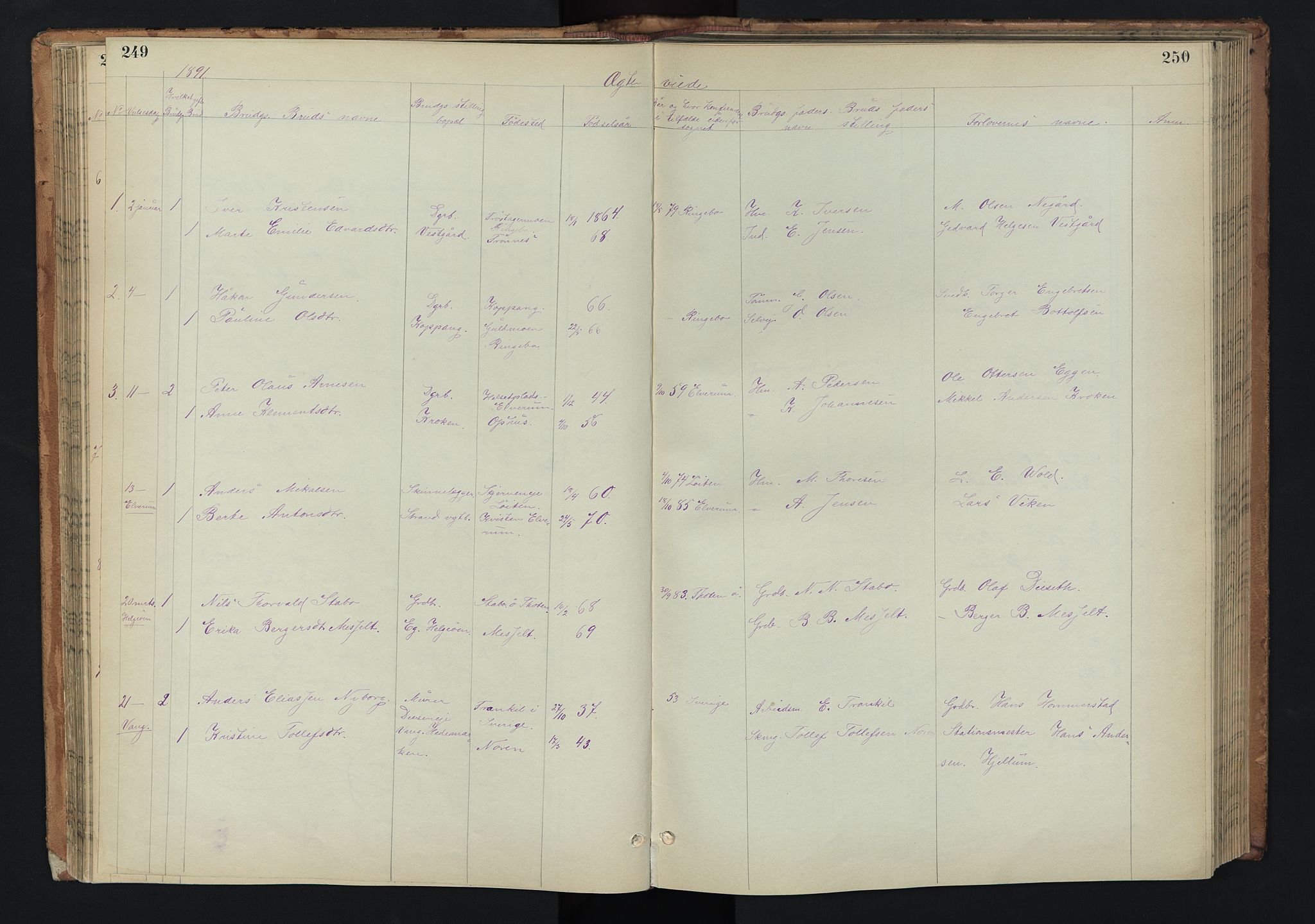 Stor-Elvdal prestekontor, AV/SAH-PREST-052/H/Ha/Hab/L0002: Parish register (copy) no. 2, 1860-1894, p. 249-250