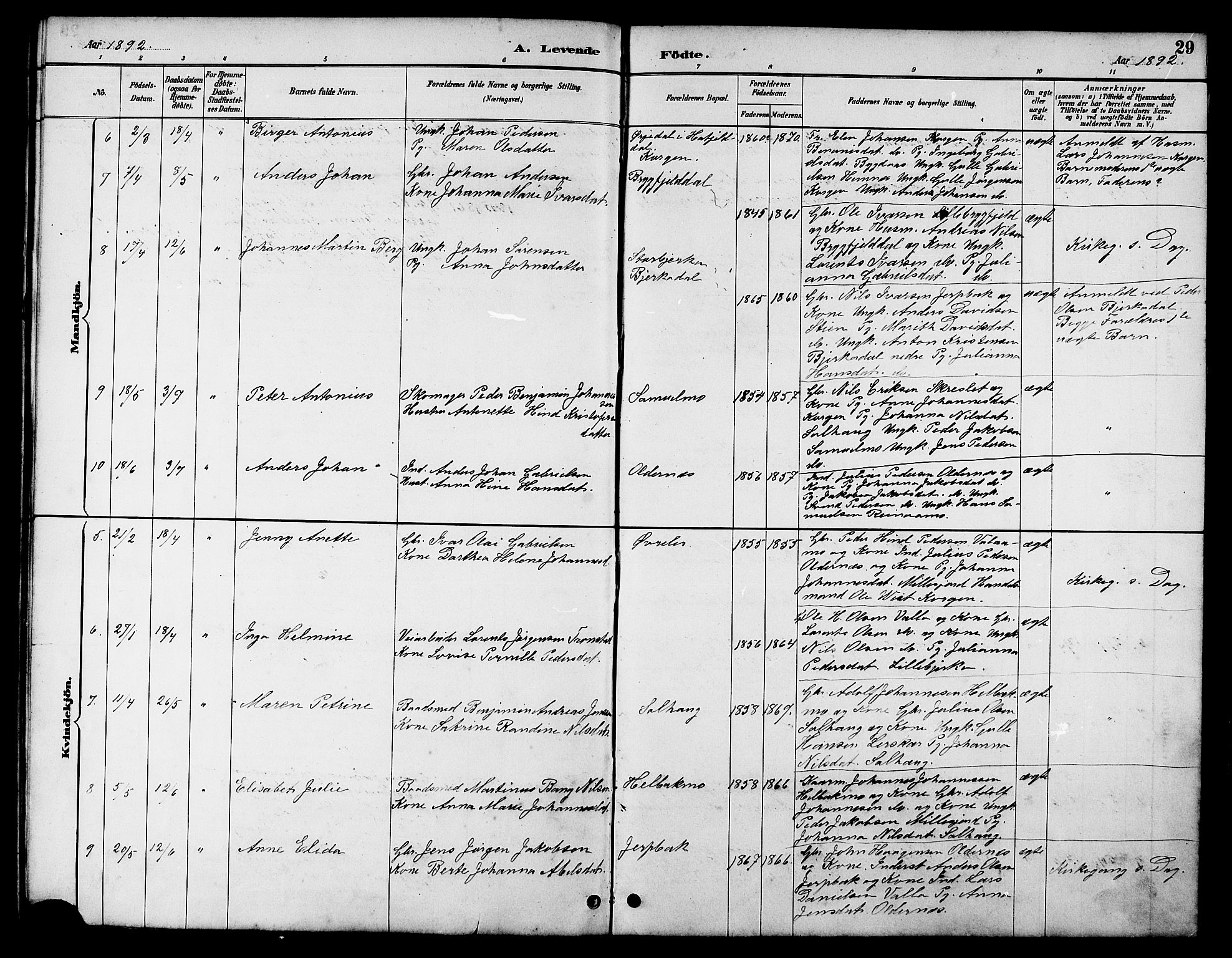 Ministerialprotokoller, klokkerbøker og fødselsregistre - Nordland, AV/SAT-A-1459/826/L0383: Parish register (copy) no. 826C03, 1887-1896, p. 29