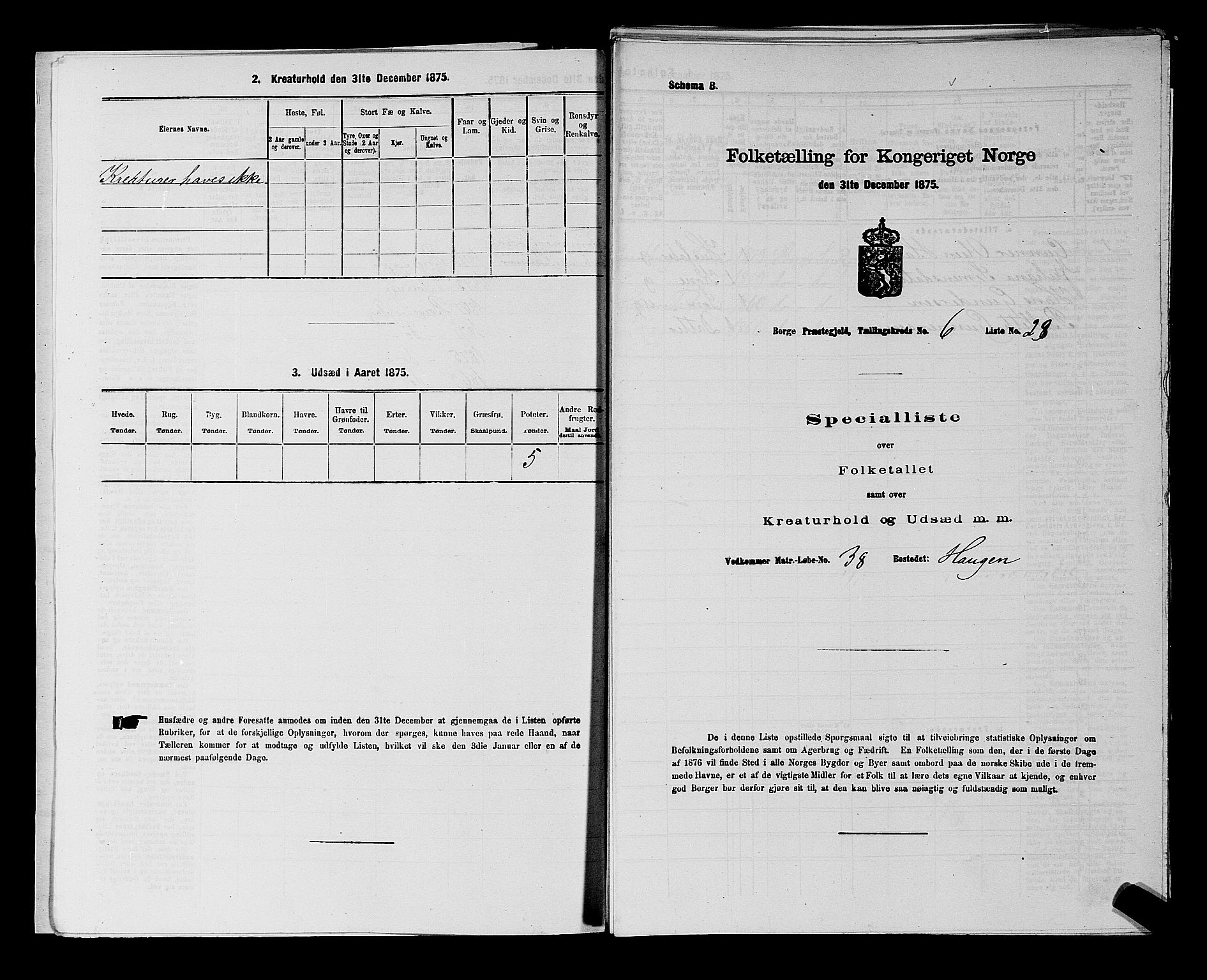 RA, 1875 census for 0113P Borge, 1875, p. 829