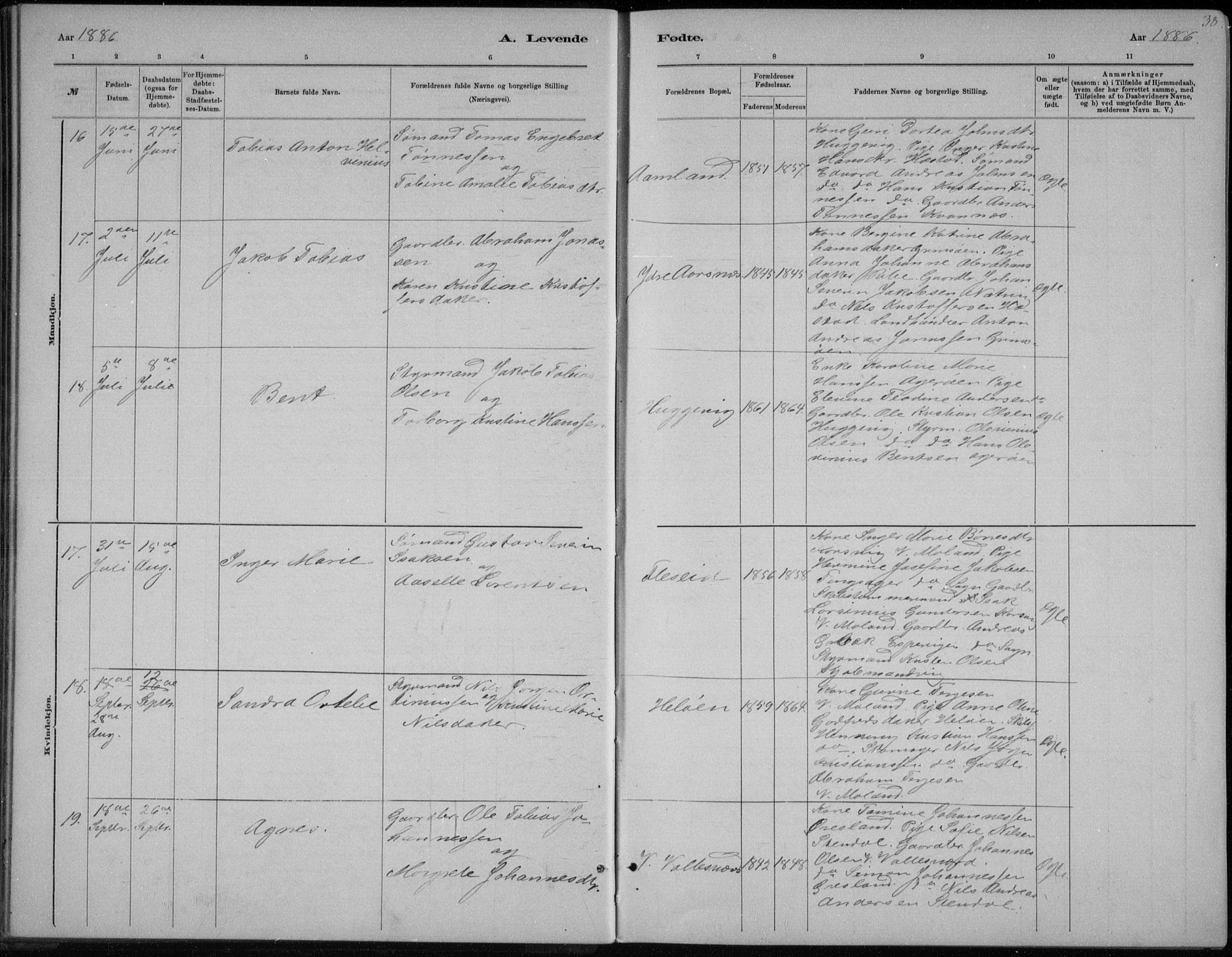 Høvåg sokneprestkontor, AV/SAK-1111-0025/F/Fb/L0004: Parish register (copy) no. B 4, 1883-1898, p. 38