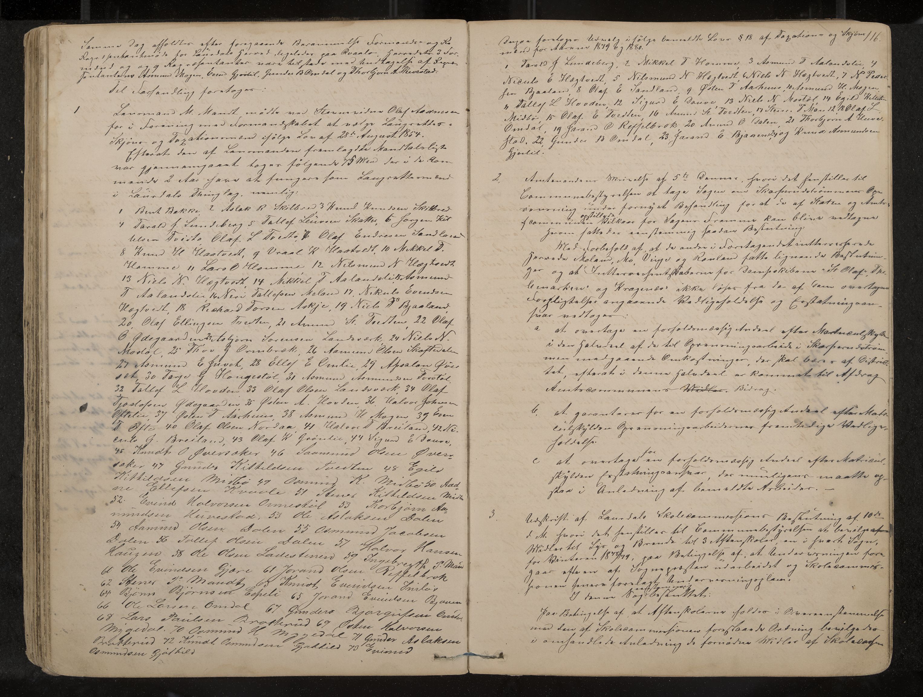 Lårdal formannskap og sentraladministrasjon, IKAK/0833021/A/L0002: Møtebok, 1865-1893, p. 116