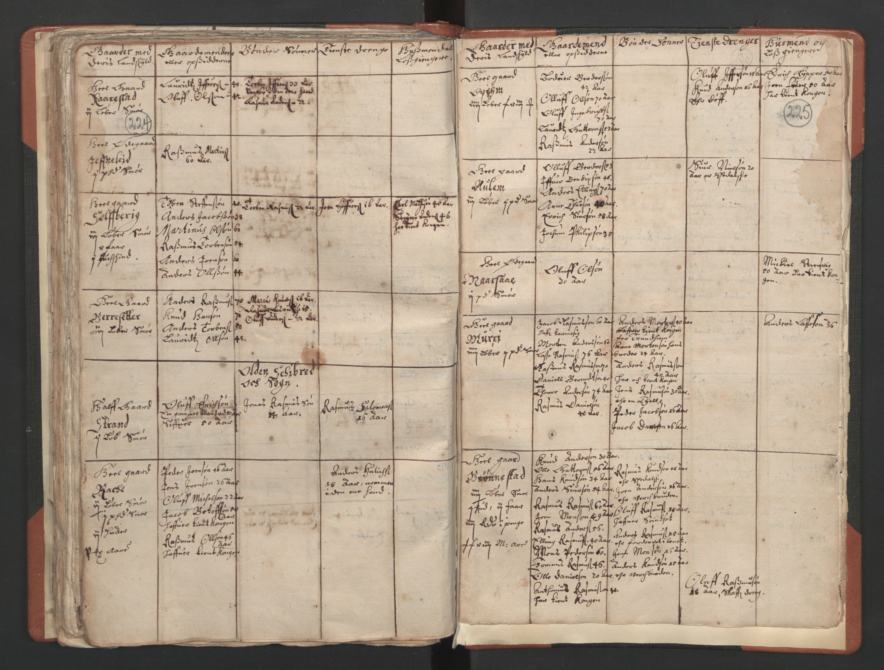 RA, Vicar's Census 1664-1666, no. 25: Nordfjord deanery, 1664-1666, p. 224-225