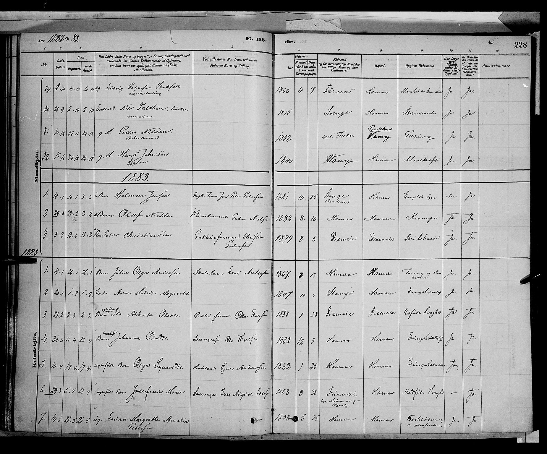 Vang prestekontor, Hedmark, SAH/PREST-008/H/Ha/Haa/L0016: Parish register (official) no. 16, 1878-1889, p. 228