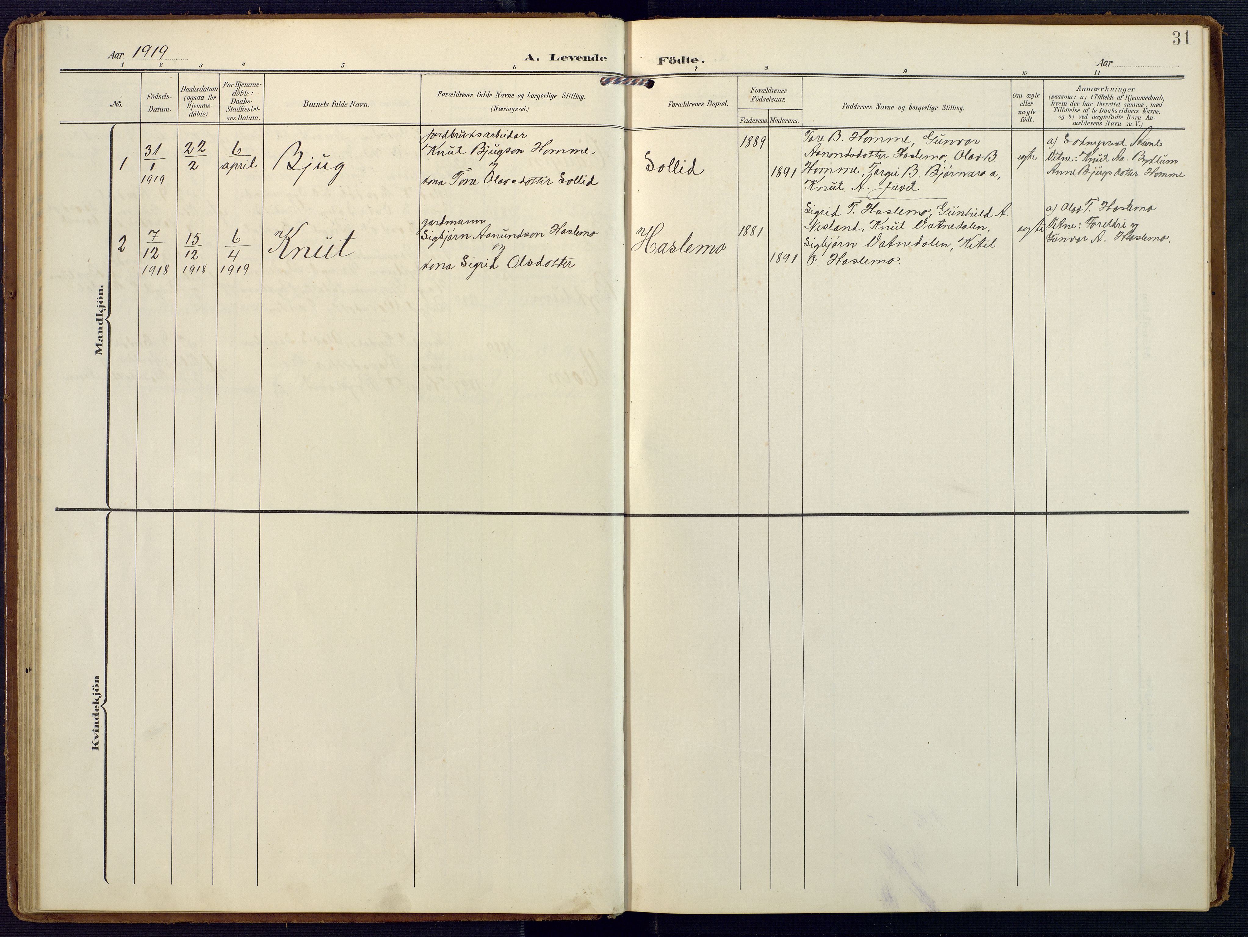 Valle sokneprestkontor, SAK/1111-0044/F/Fa/Faa/L0002: Parish register (official) no. A 2, 1907-1919, p. 31