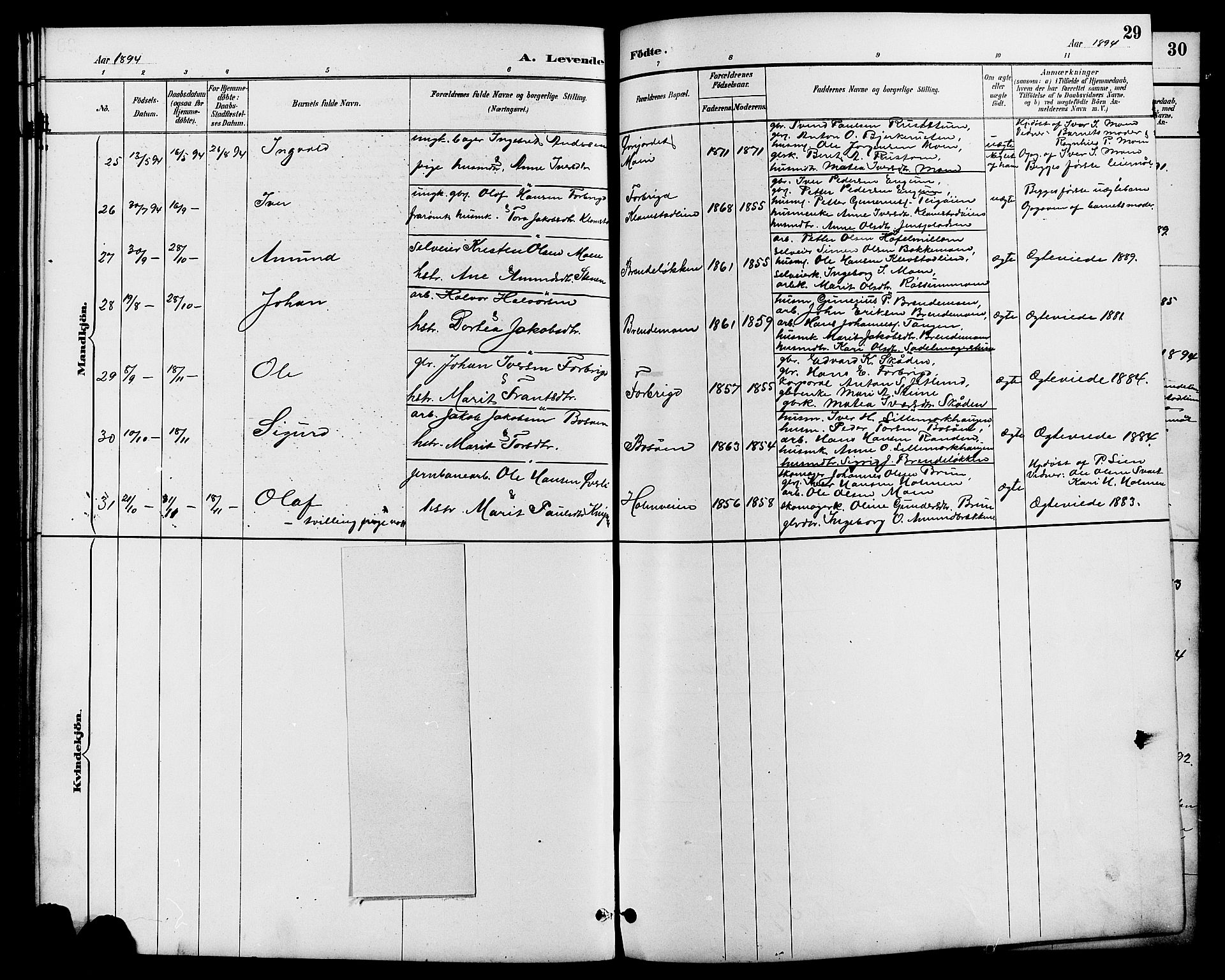 Nord-Fron prestekontor, SAH/PREST-080/H/Ha/Hab/L0006: Parish register (copy) no. 6, 1887-1914, p. 29