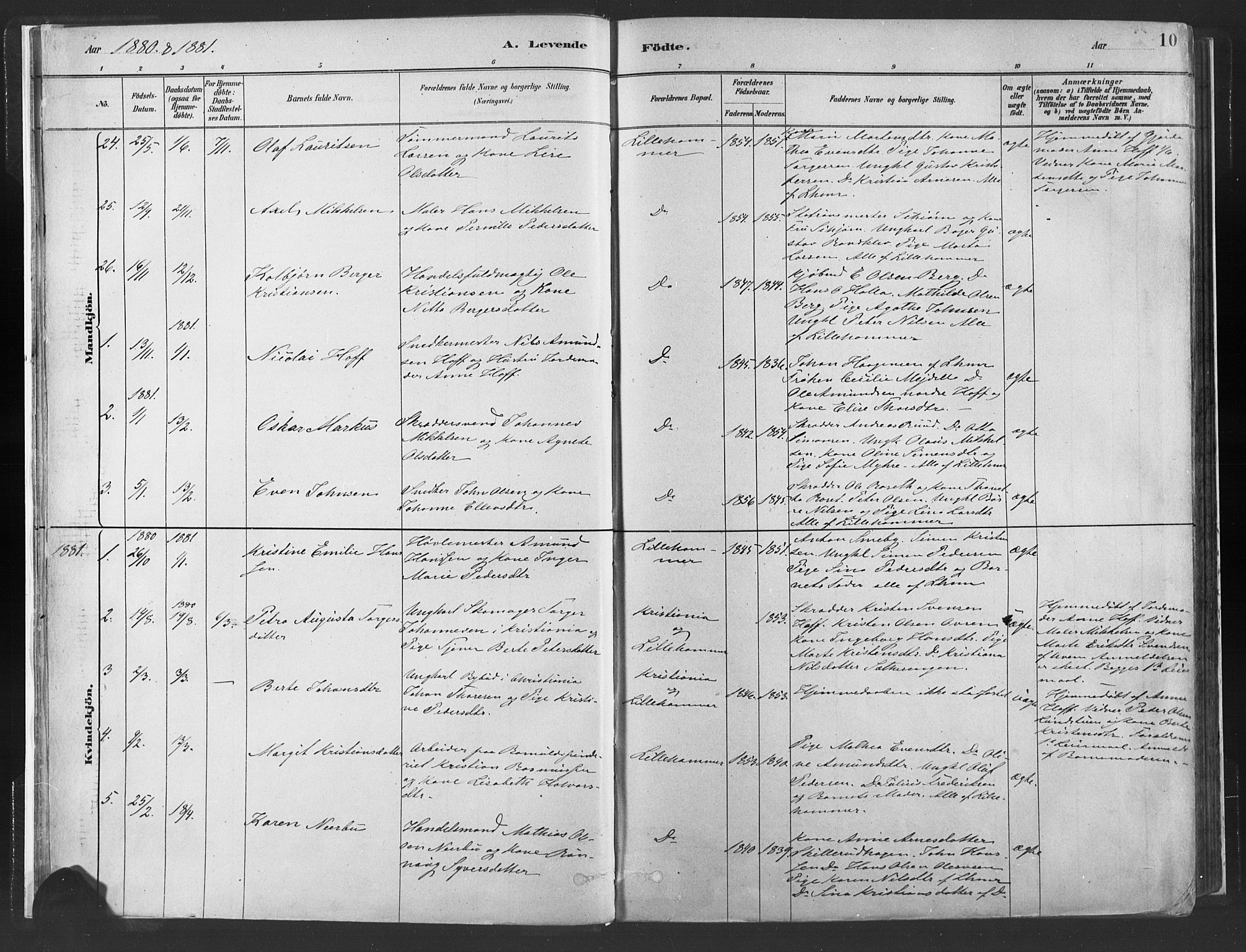Fåberg prestekontor, SAH/PREST-086/H/Ha/Haa/L0010: Parish register (official) no. 10, 1879-1900, p. 10