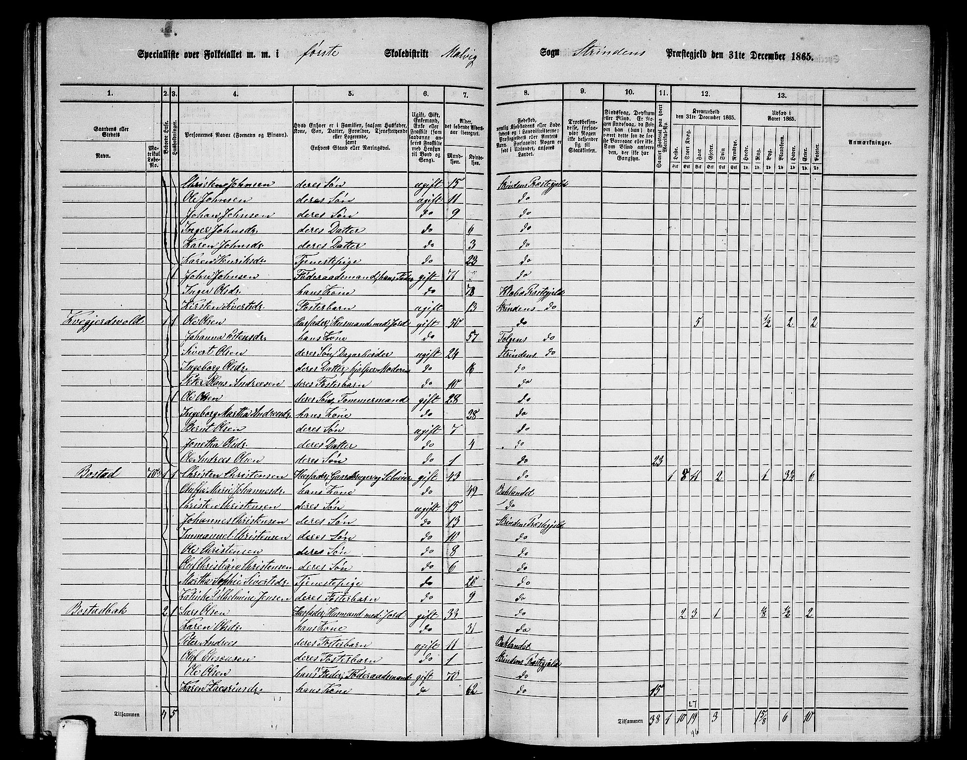 RA, 1865 census for Strinda, 1865, p. 187