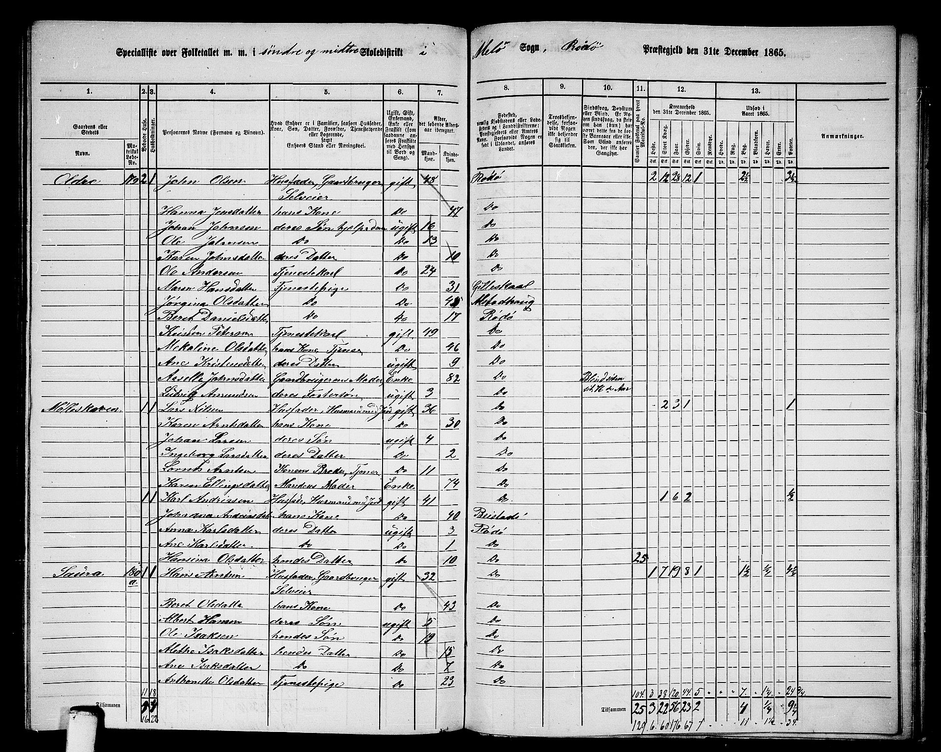 RA, 1865 census for Rødøy, 1865, p. 123