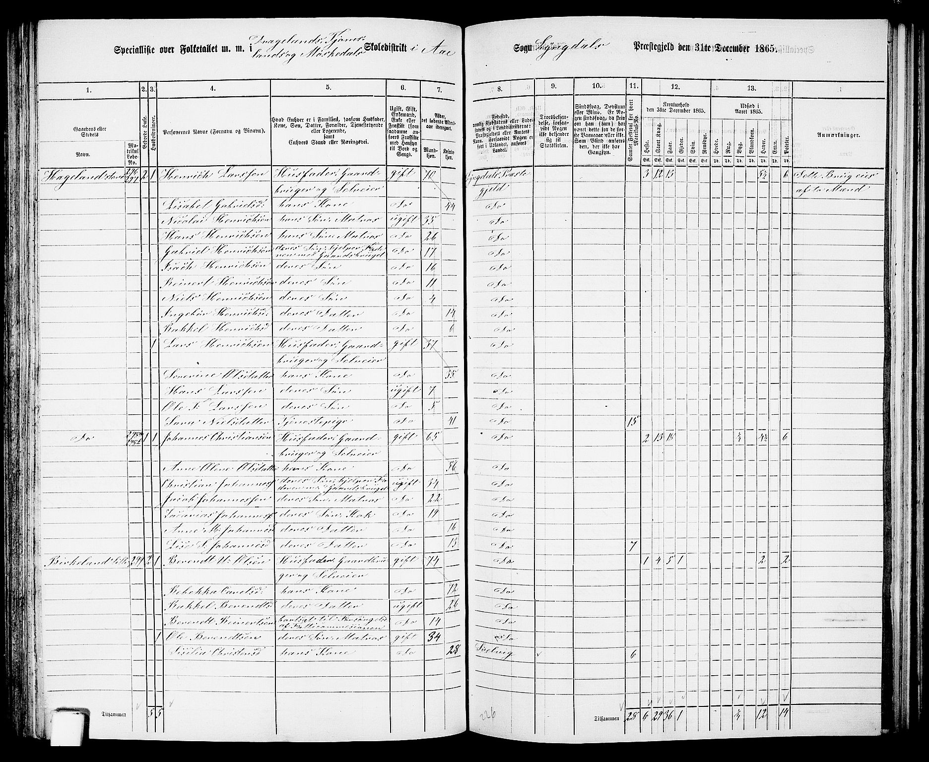 RA, 1865 census for Lyngdal, 1865, p. 137