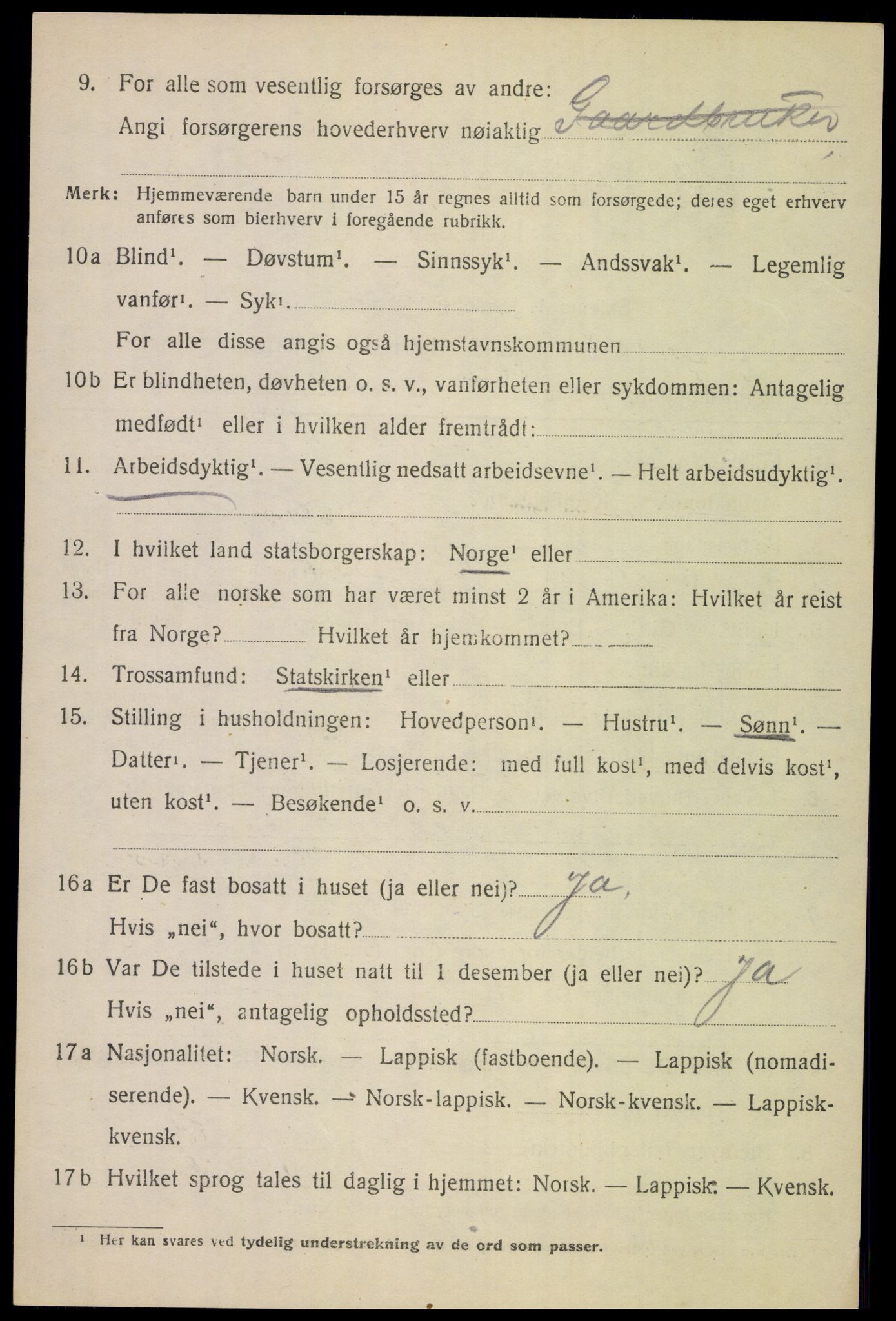 SAT, 1920 census for Tysfjord, 1920, p. 6248