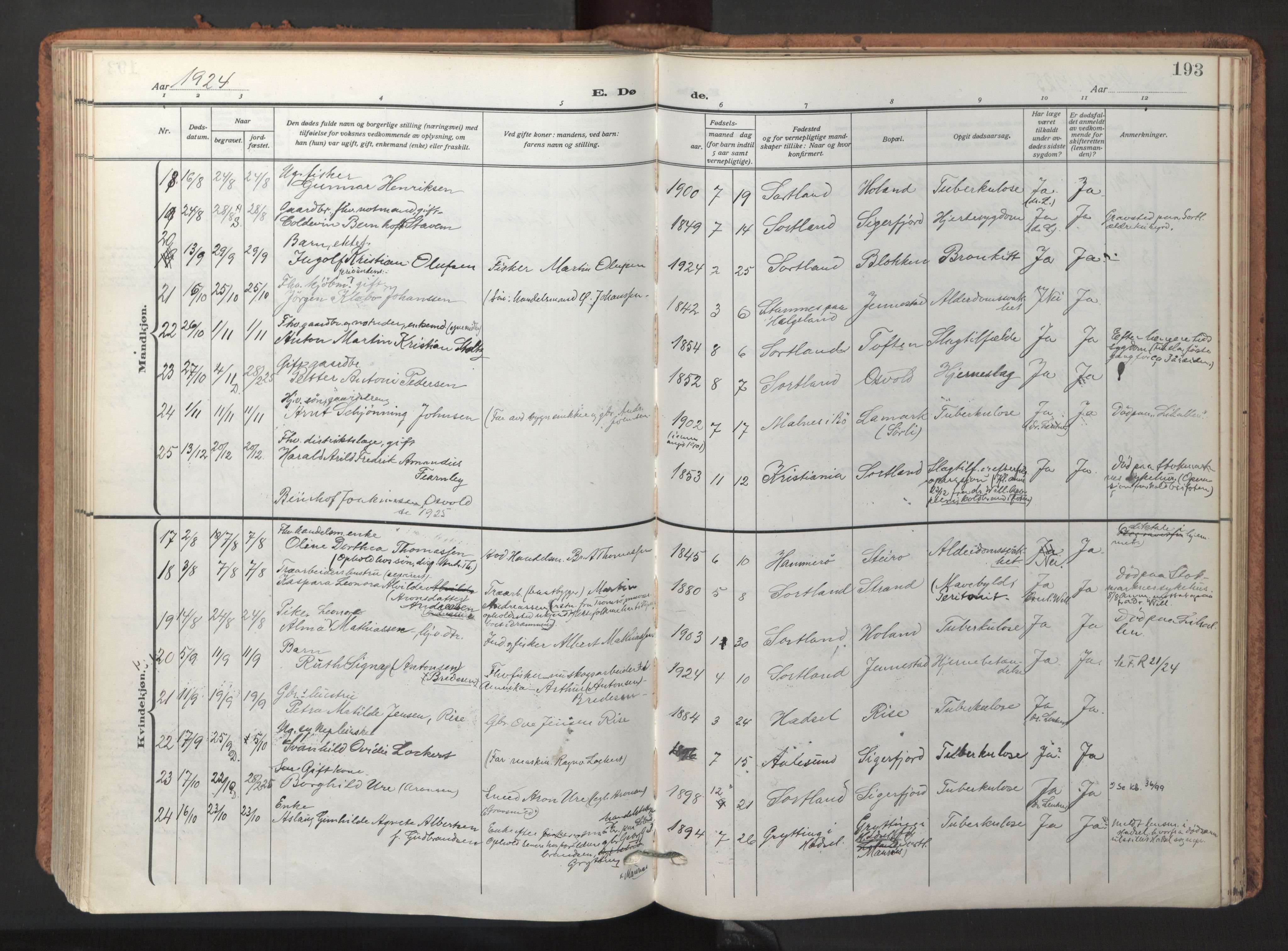 Ministerialprotokoller, klokkerbøker og fødselsregistre - Nordland, AV/SAT-A-1459/895/L1374: Parish register (official) no. 895A09, 1915-1925, p. 193