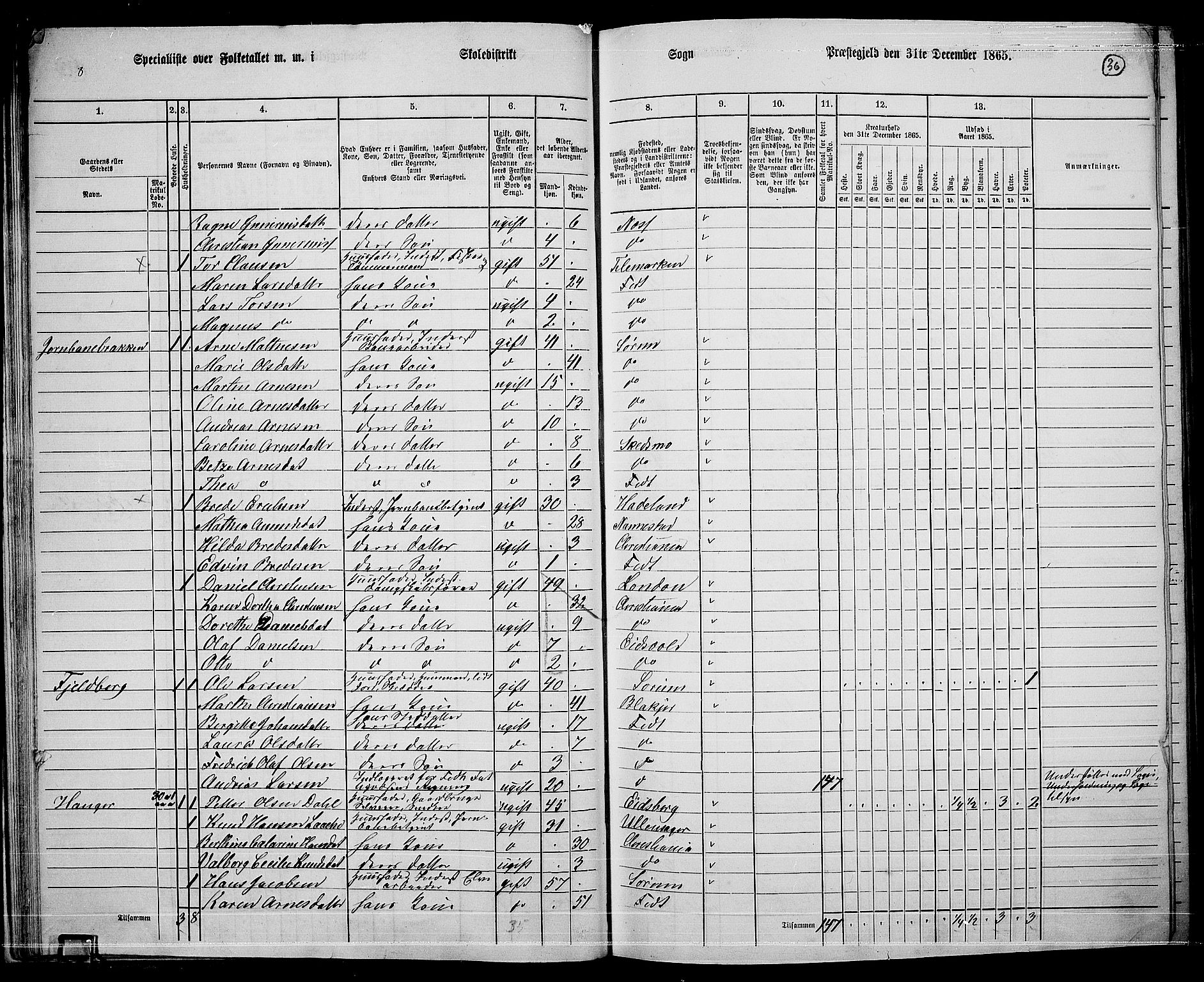 RA, 1865 census for Fet, 1865, p. 33