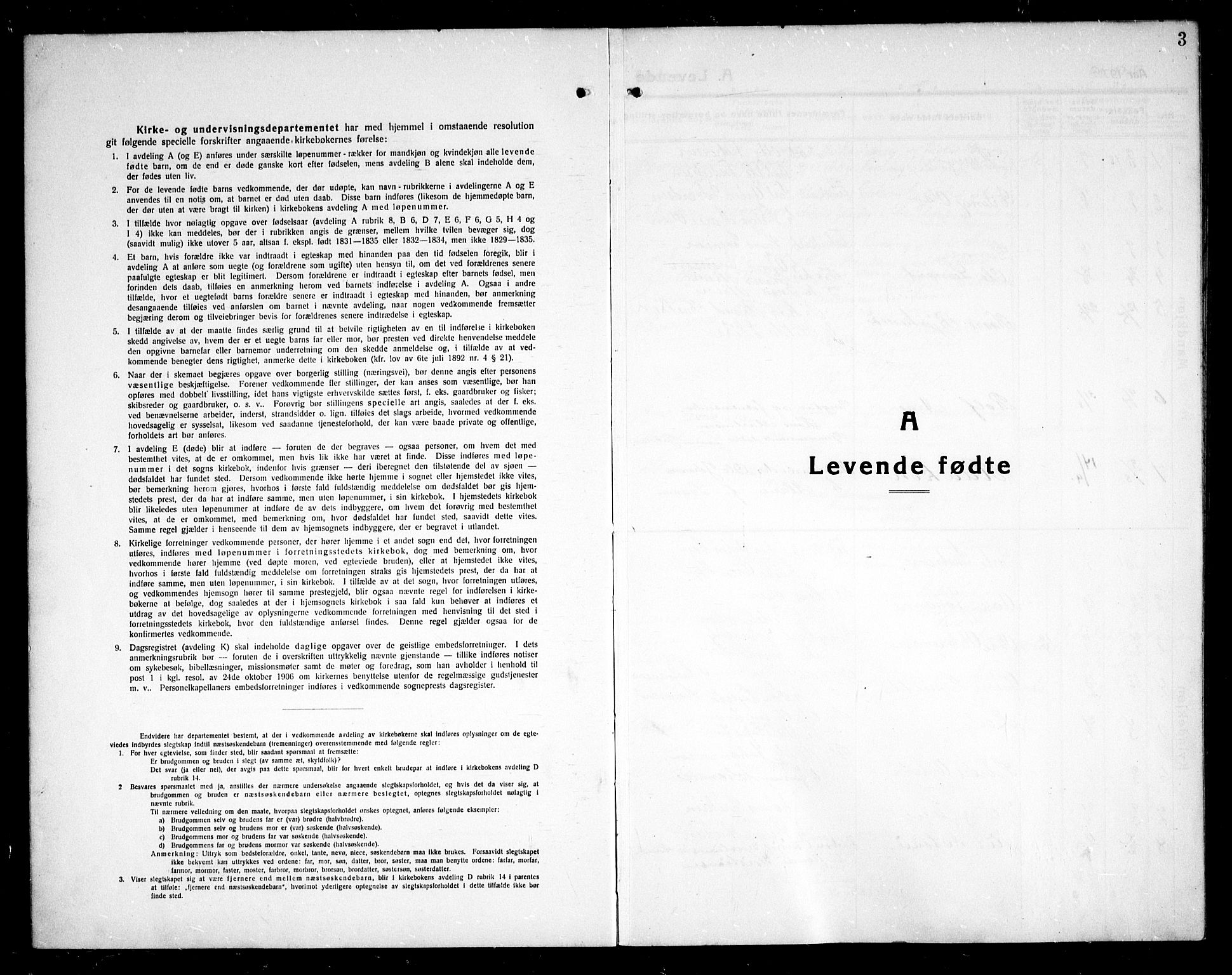 Skjeberg prestekontor Kirkebøker, SAO/A-10923/G/Gb/L0002: Parish register (copy) no. II 2, 1919-1938, p. 3