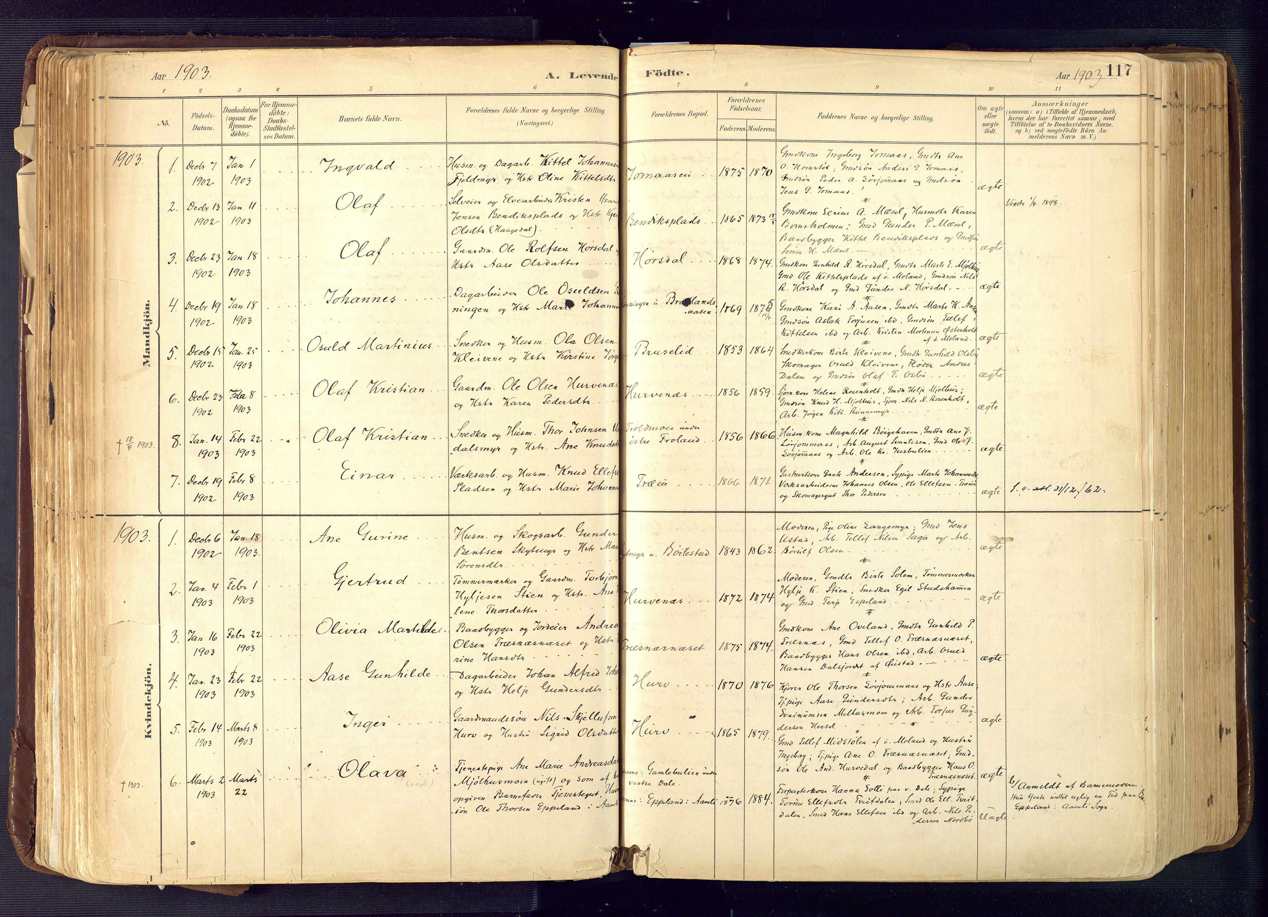 Froland sokneprestkontor, SAK/1111-0013/F/Fa/L0005: Parish register (official) no. A 5, 1882-1921, p. 117