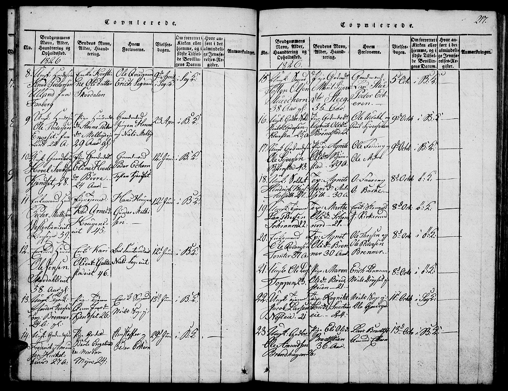 Biri prestekontor, SAH/PREST-096/H/Ha/Hab/L0001: Parish register (copy) no. 1, 1814-1828, p. 217