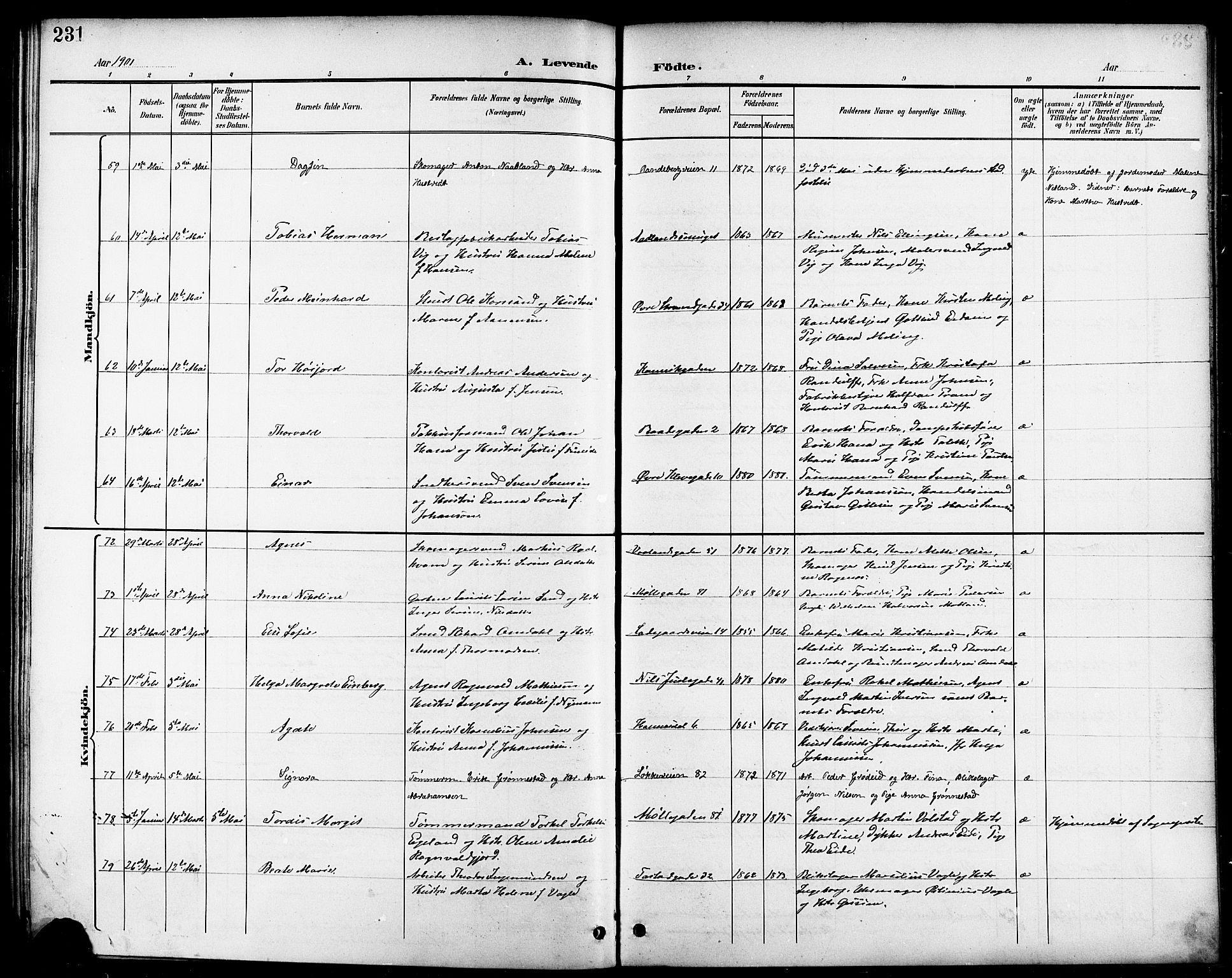 Domkirken sokneprestkontor, AV/SAST-A-101812/001/30/30BB/L0016: Parish register (copy) no. B 16, 1891-1902, p. 231