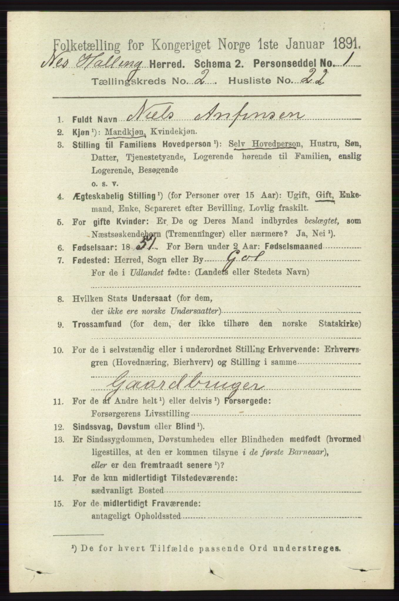 RA, 1891 census for 0616 Nes, 1891, p. 1100