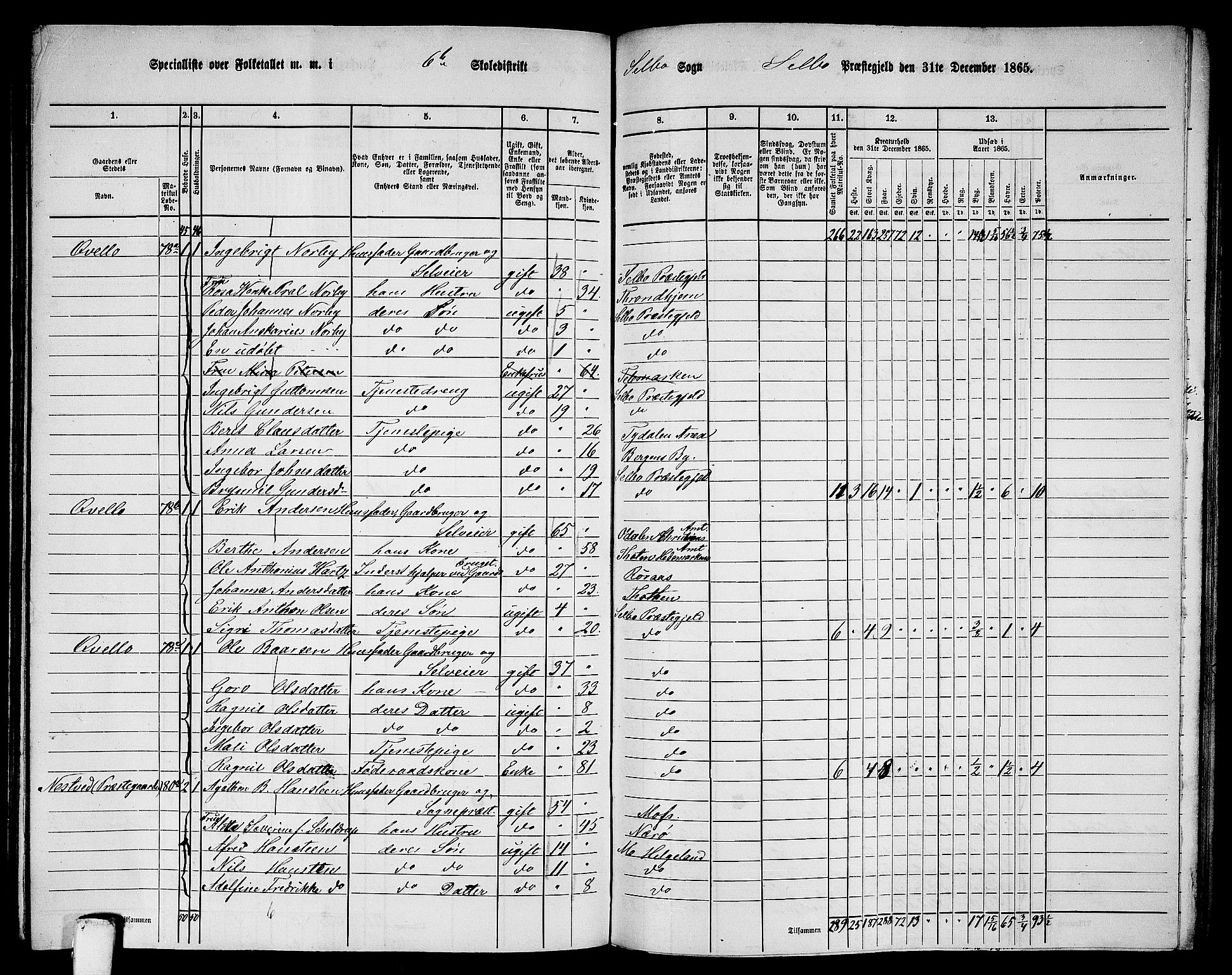 RA, 1865 census for Selbu, 1865, p. 100