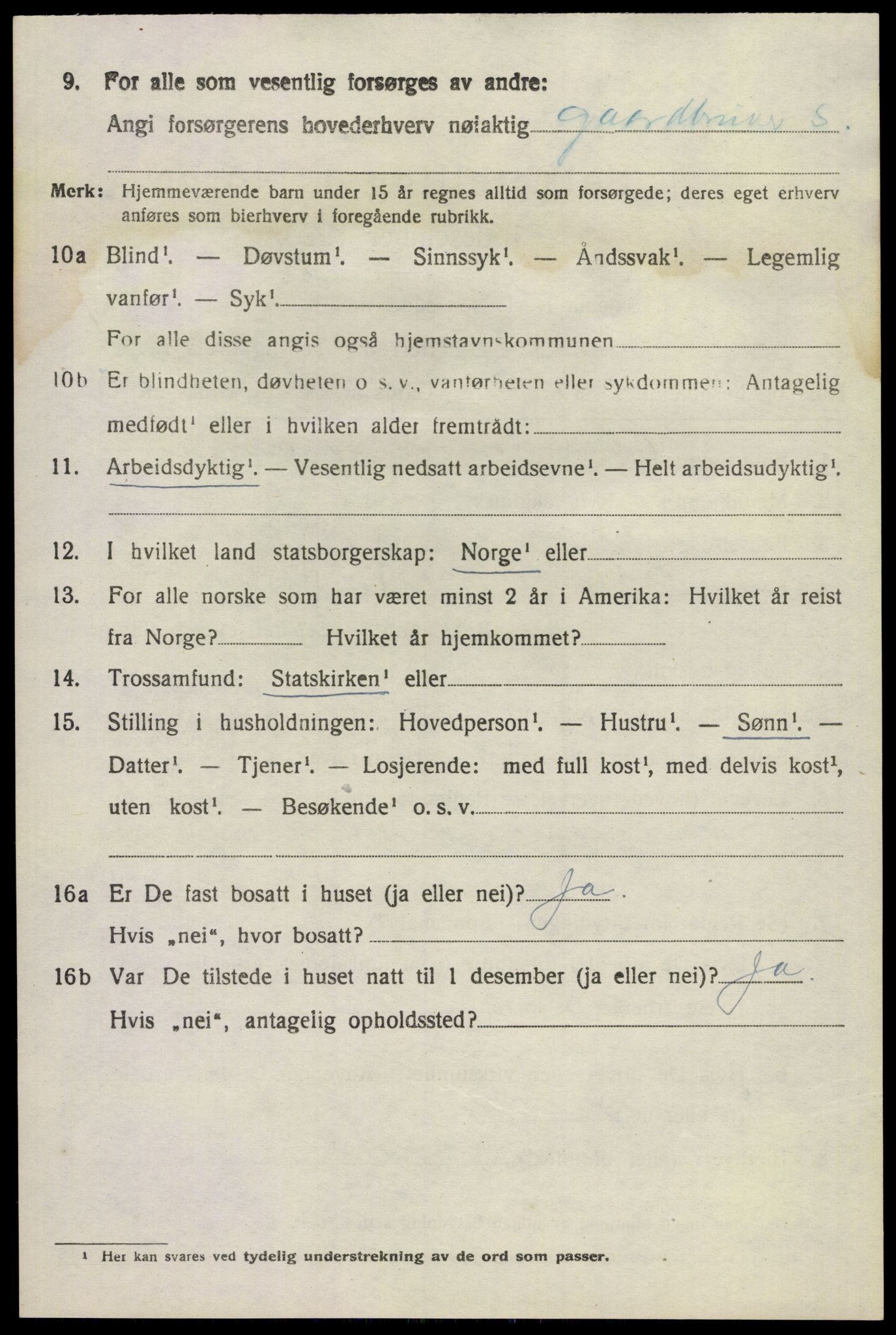 SAKO, 1920 census for Hovin, 1920, p. 1460