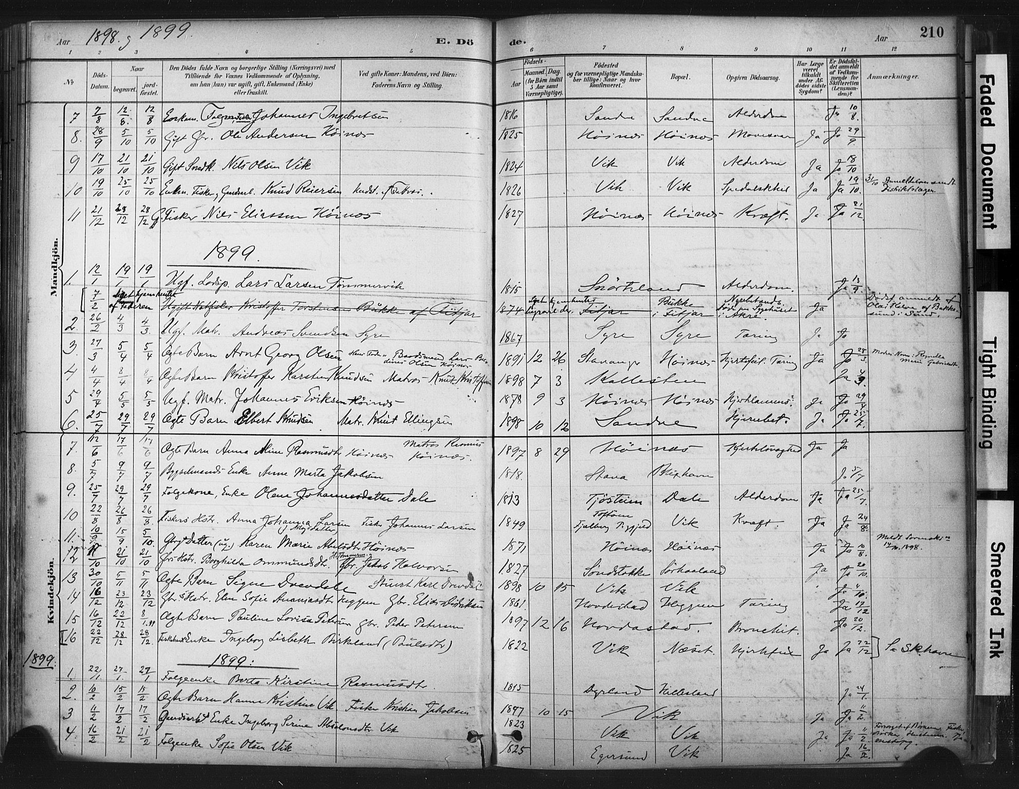 Skudenes sokneprestkontor, SAST/A -101849/H/Ha/Haa/L0009: Parish register (official) no. A 6, 1882-1912, p. 210