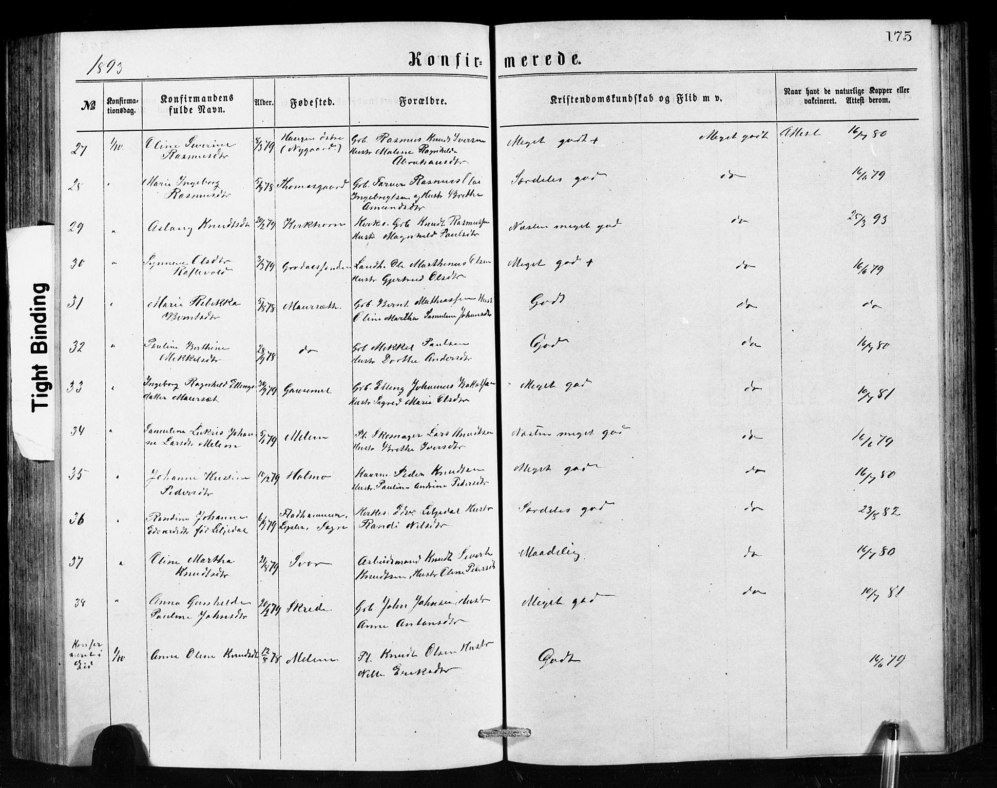 Hornindal sokneprestembete, AV/SAB-A-82401/H/Hab: Parish register (copy) no. A 1, 1876-1894, p. 175