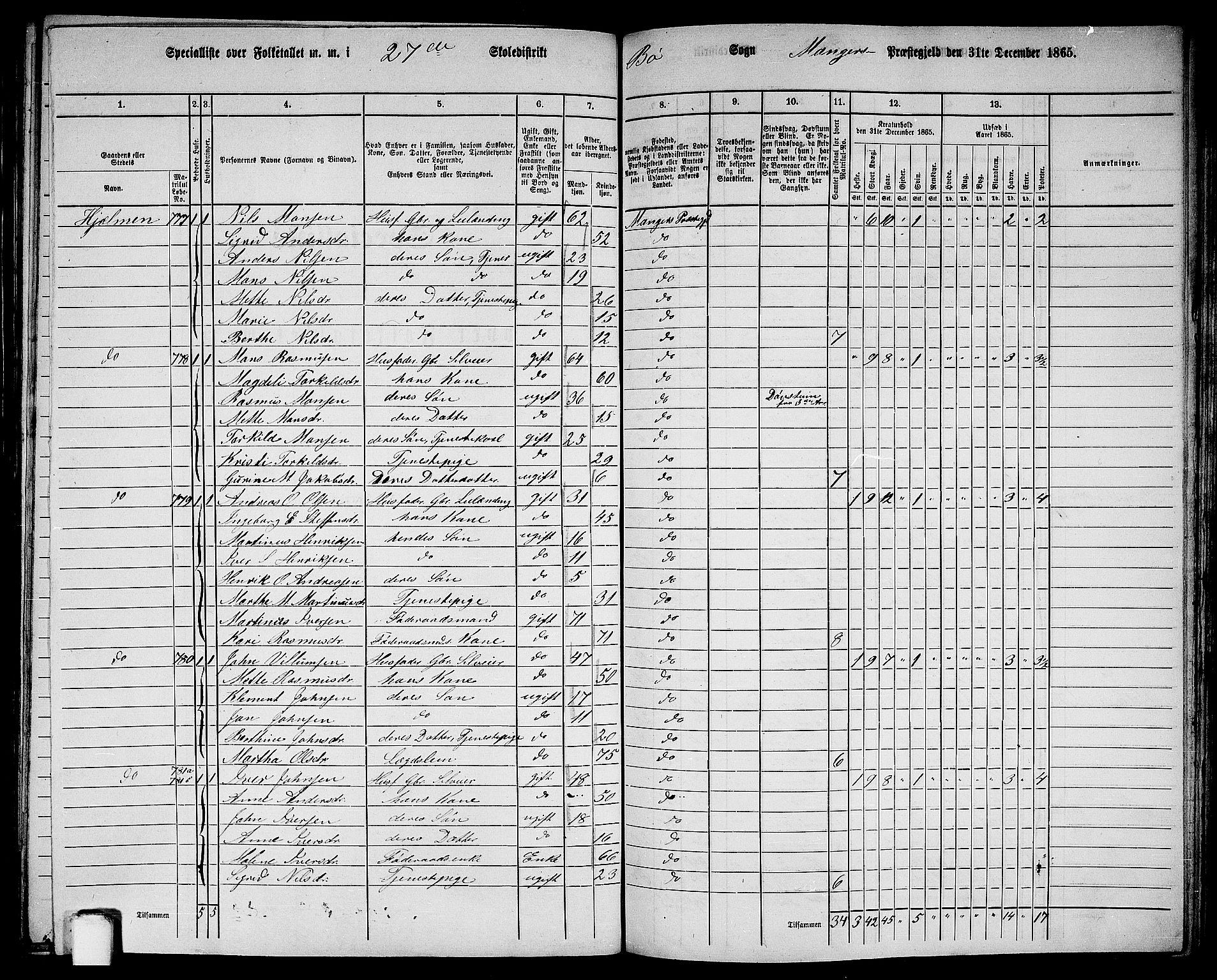 RA, 1865 census for Manger, 1865, p. 236