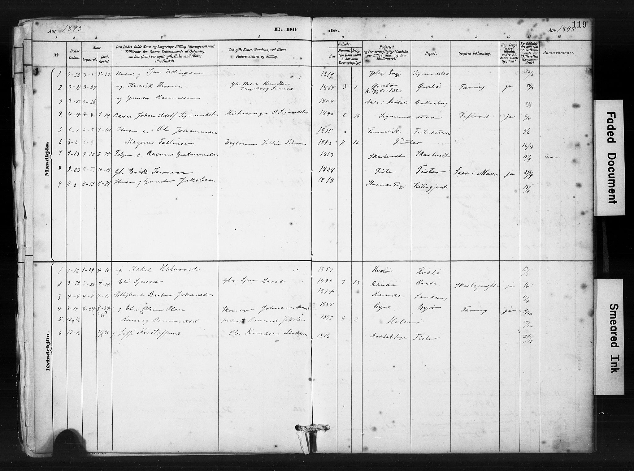 Hjelmeland sokneprestkontor, SAST/A-101843/01/IV/L0015: Parish register (official) no. A 15, 1887-1910, p. 119