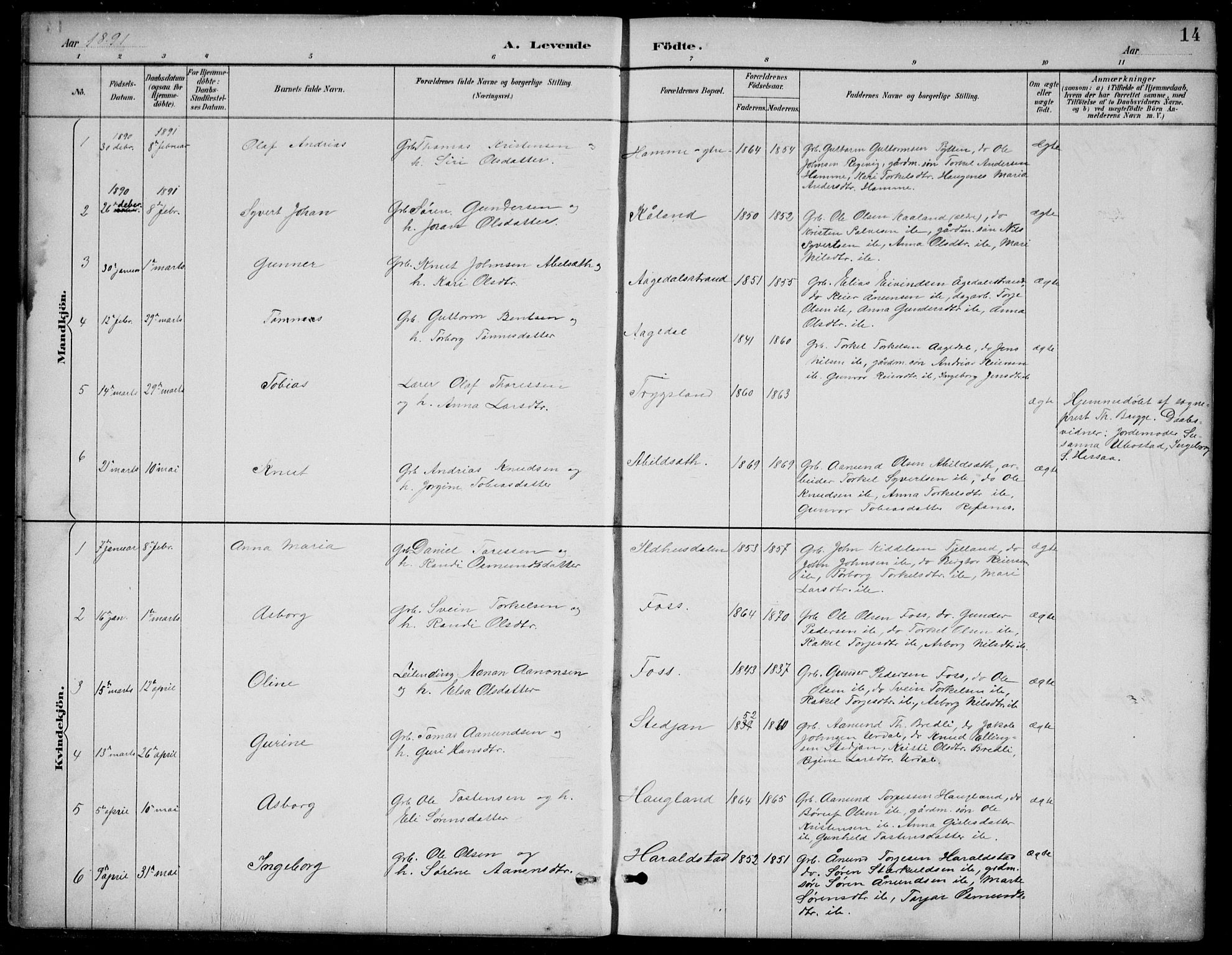 Bjelland sokneprestkontor, SAK/1111-0005/F/Fb/Fba/L0005: Parish register (copy) no. B 5, 1887-1923, p. 14