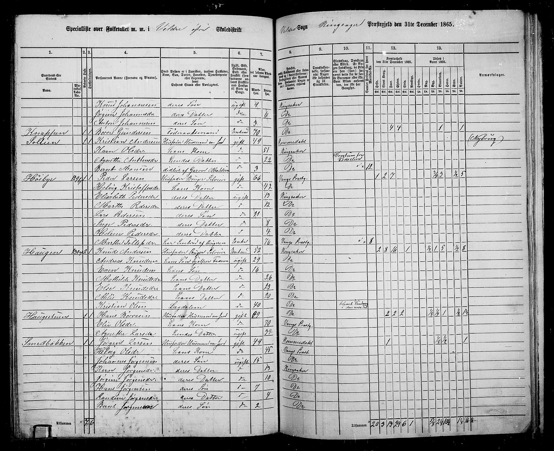 RA, 1865 census for Ringsaker, 1865, p. 195