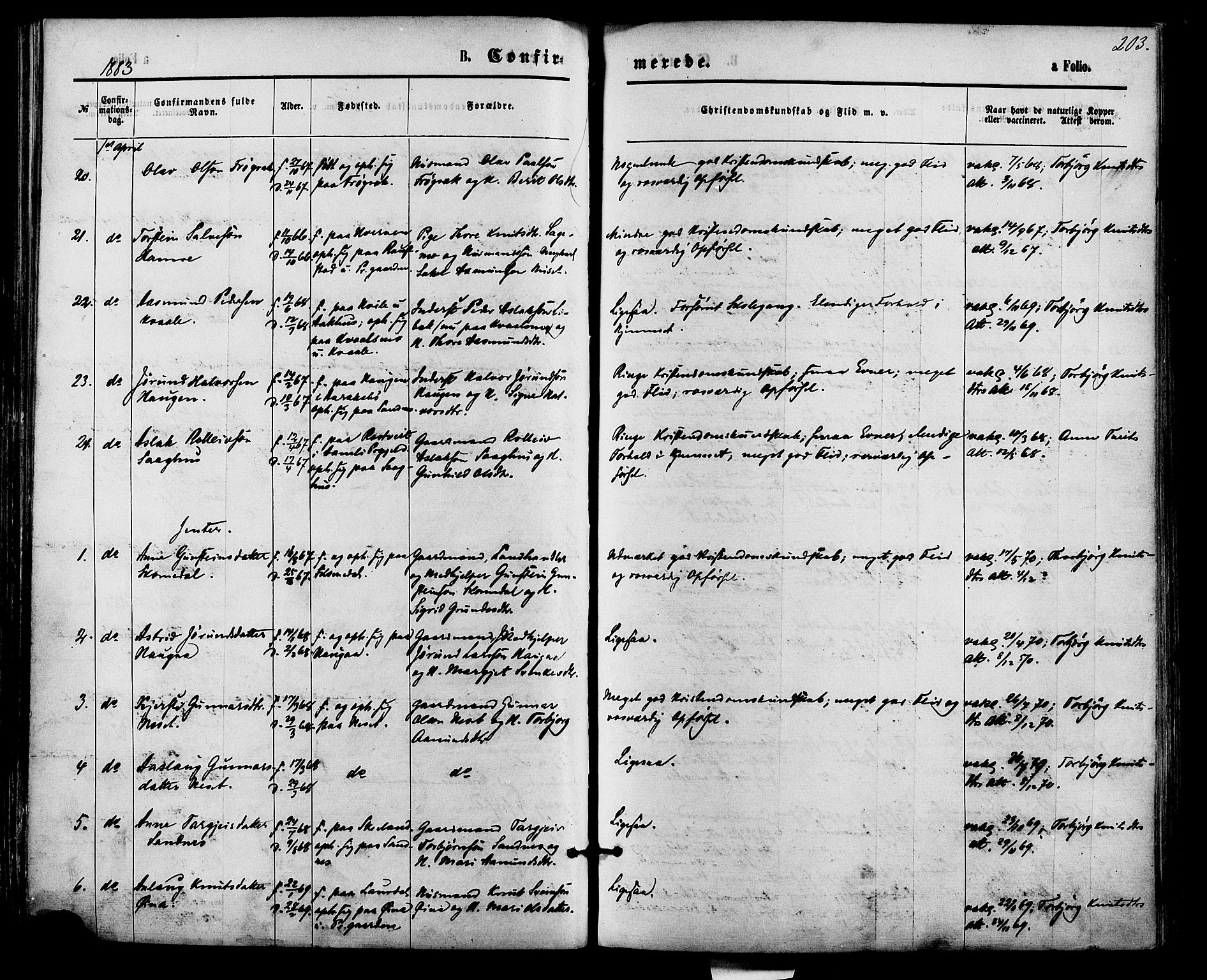 Bygland sokneprestkontor, AV/SAK-1111-0006/F/Fa/Fab/L0006: Parish register (official) no. A 6, 1873-1884, p. 203