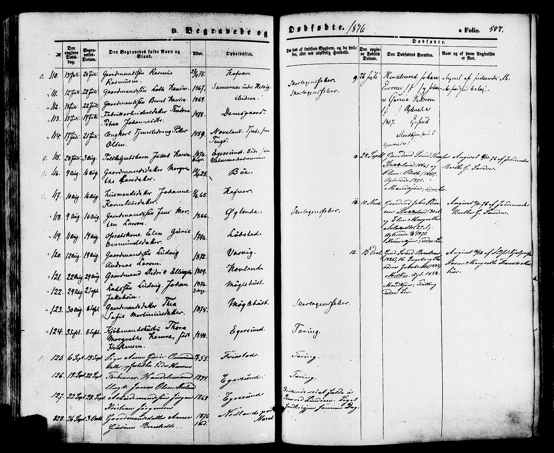 Eigersund sokneprestkontor, AV/SAST-A-101807/S08/L0014: Parish register (official) no. A 13, 1866-1878, p. 507